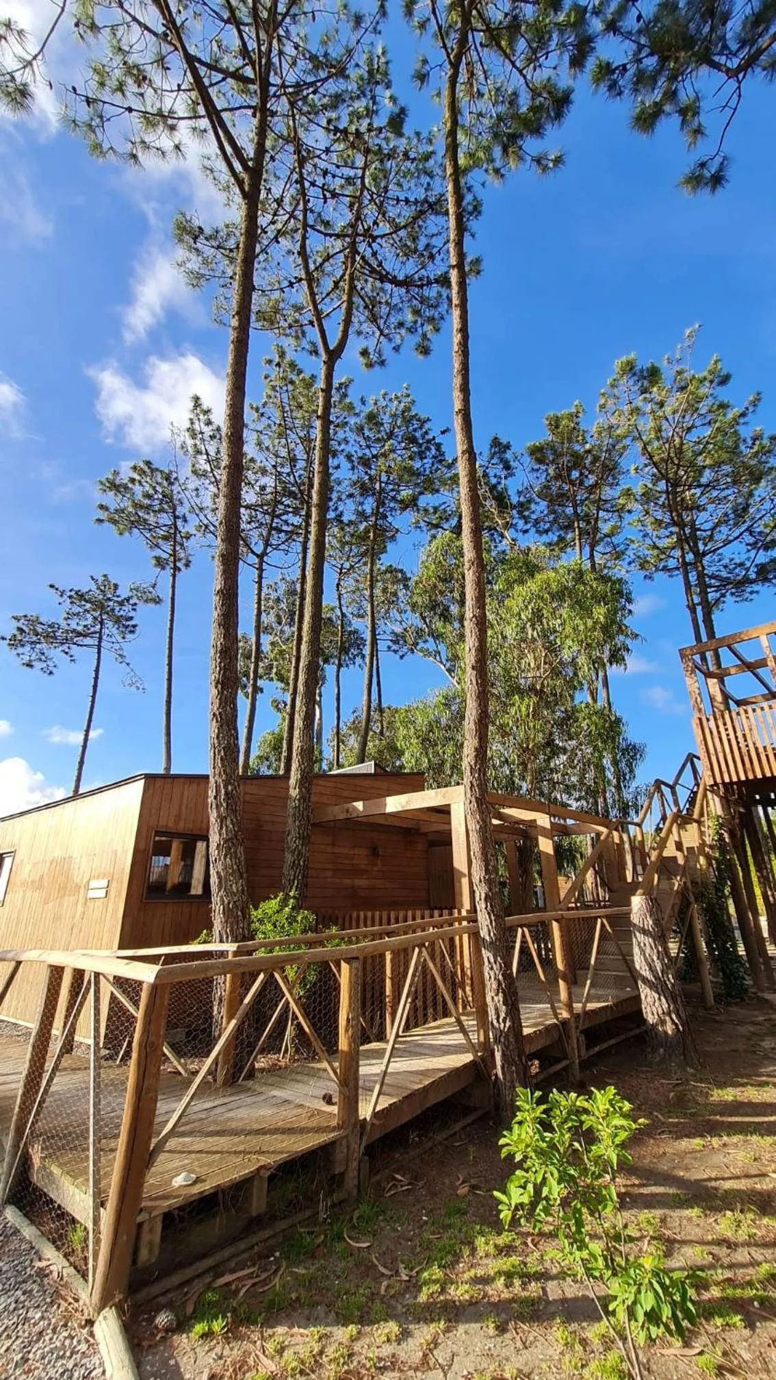 Property building in Bukubaki Eco Surf