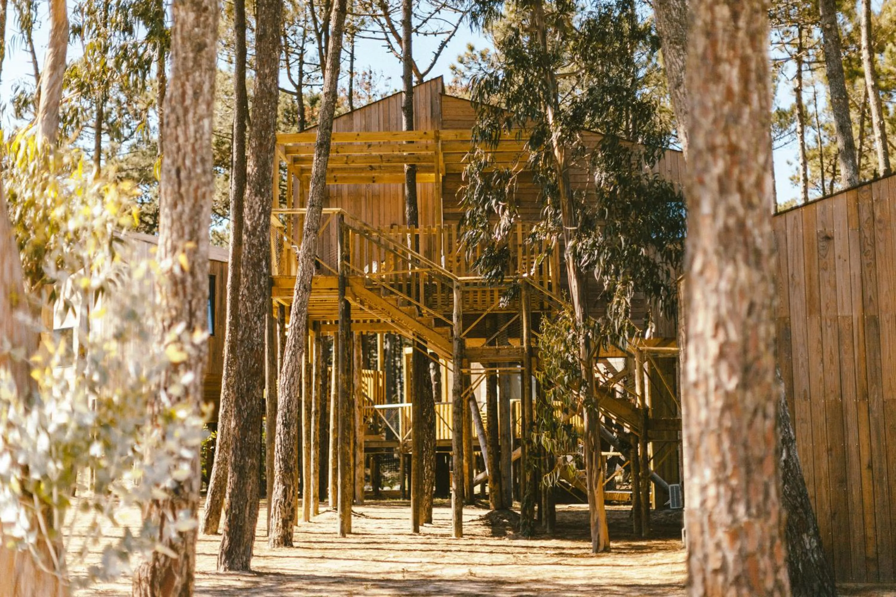 Day in Bukubaki Eco Surf