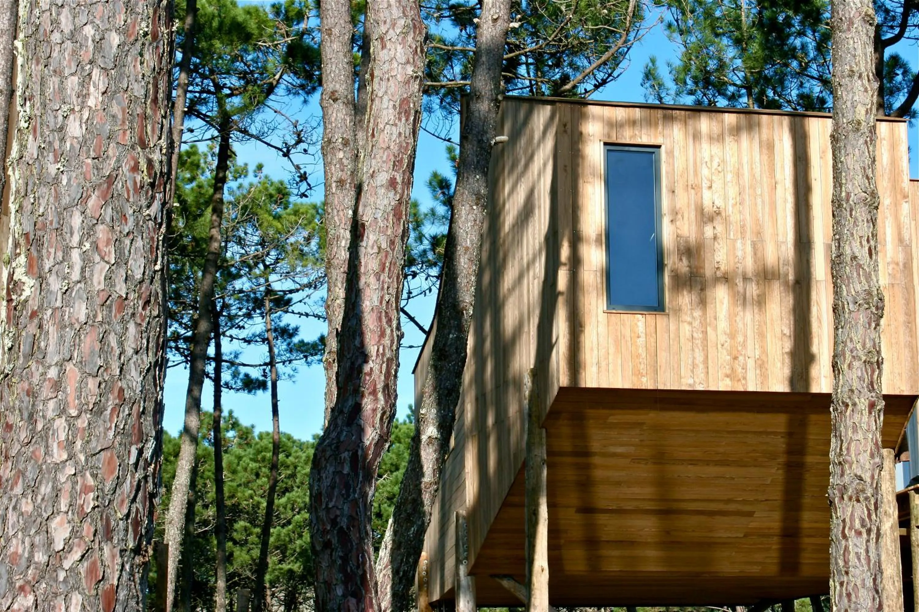 Balcony/Terrace in Bukubaki Eco Surf