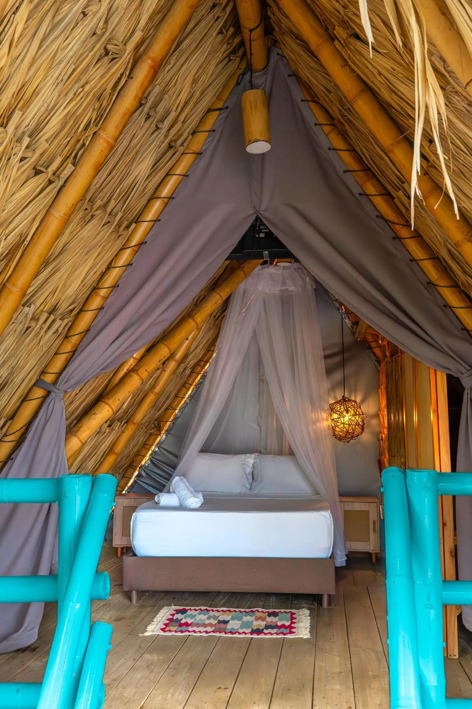 Photo of the whole room in Traveler Hostel