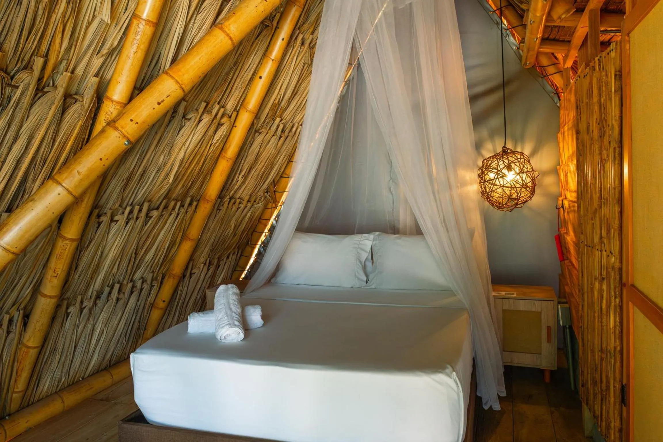 Photo of the whole room, Bed in Traveler Hostel