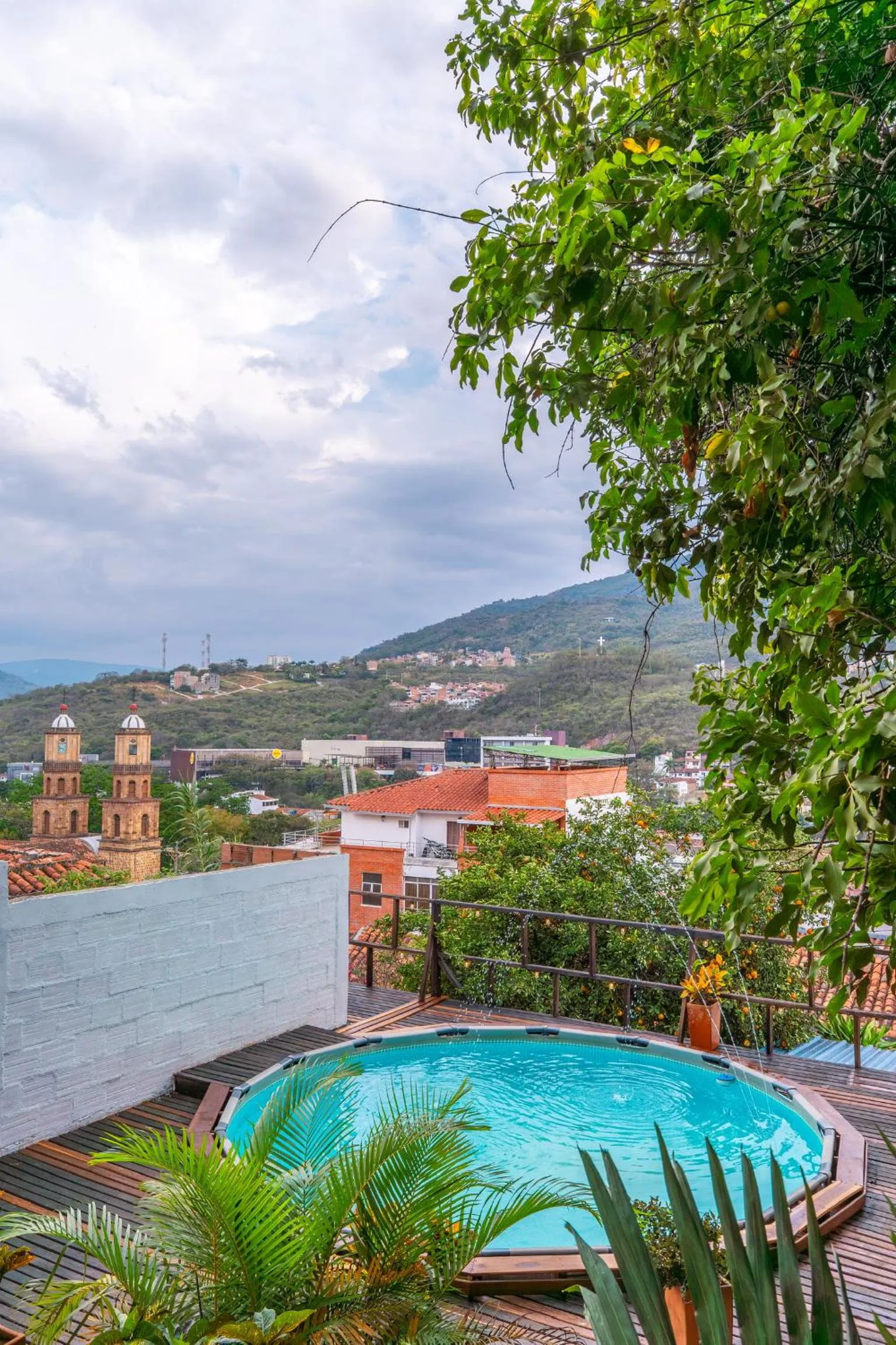 Garden in Traveler Hostel