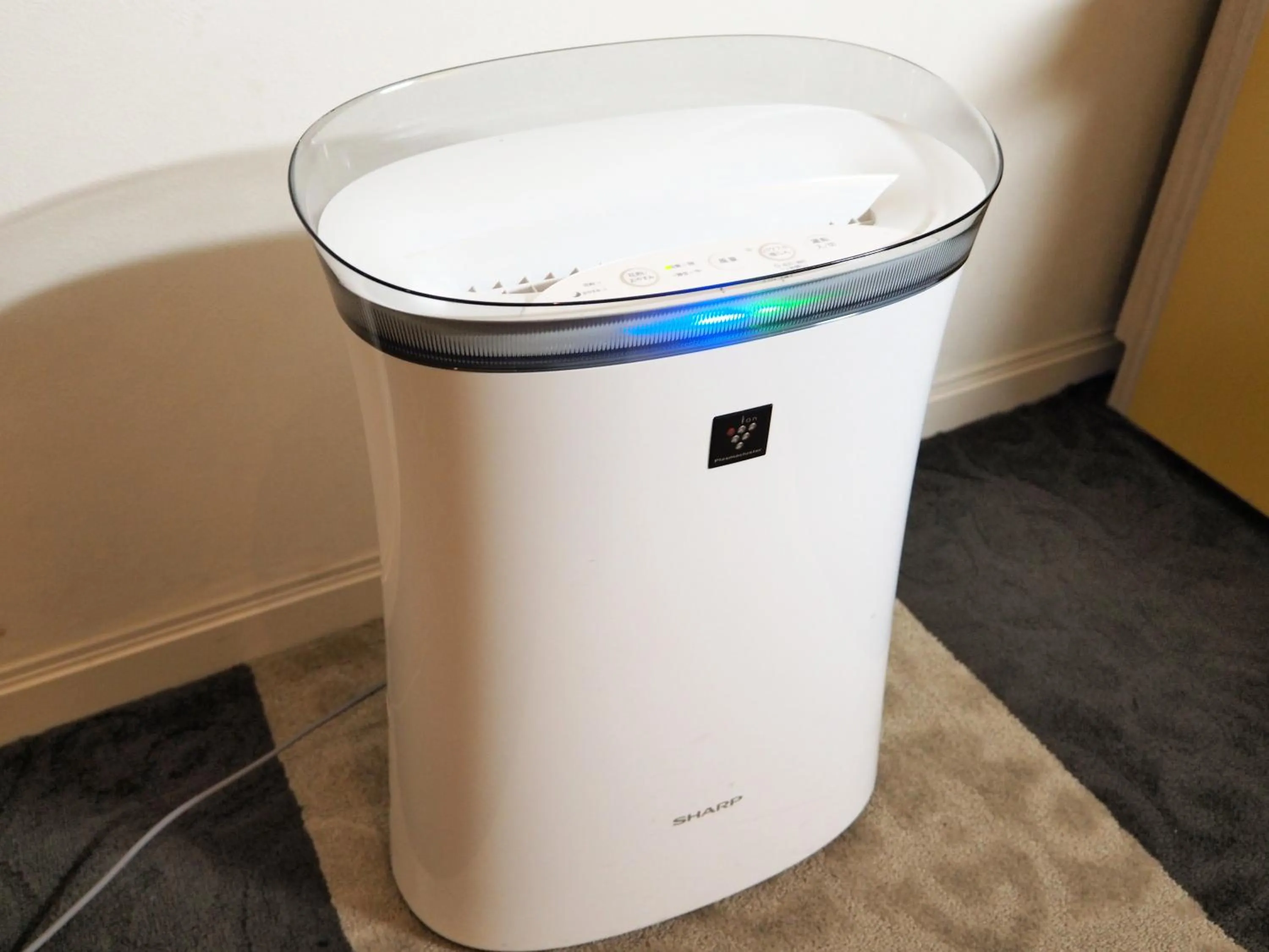 Other in Hotel Sunroute Stellar Ueno