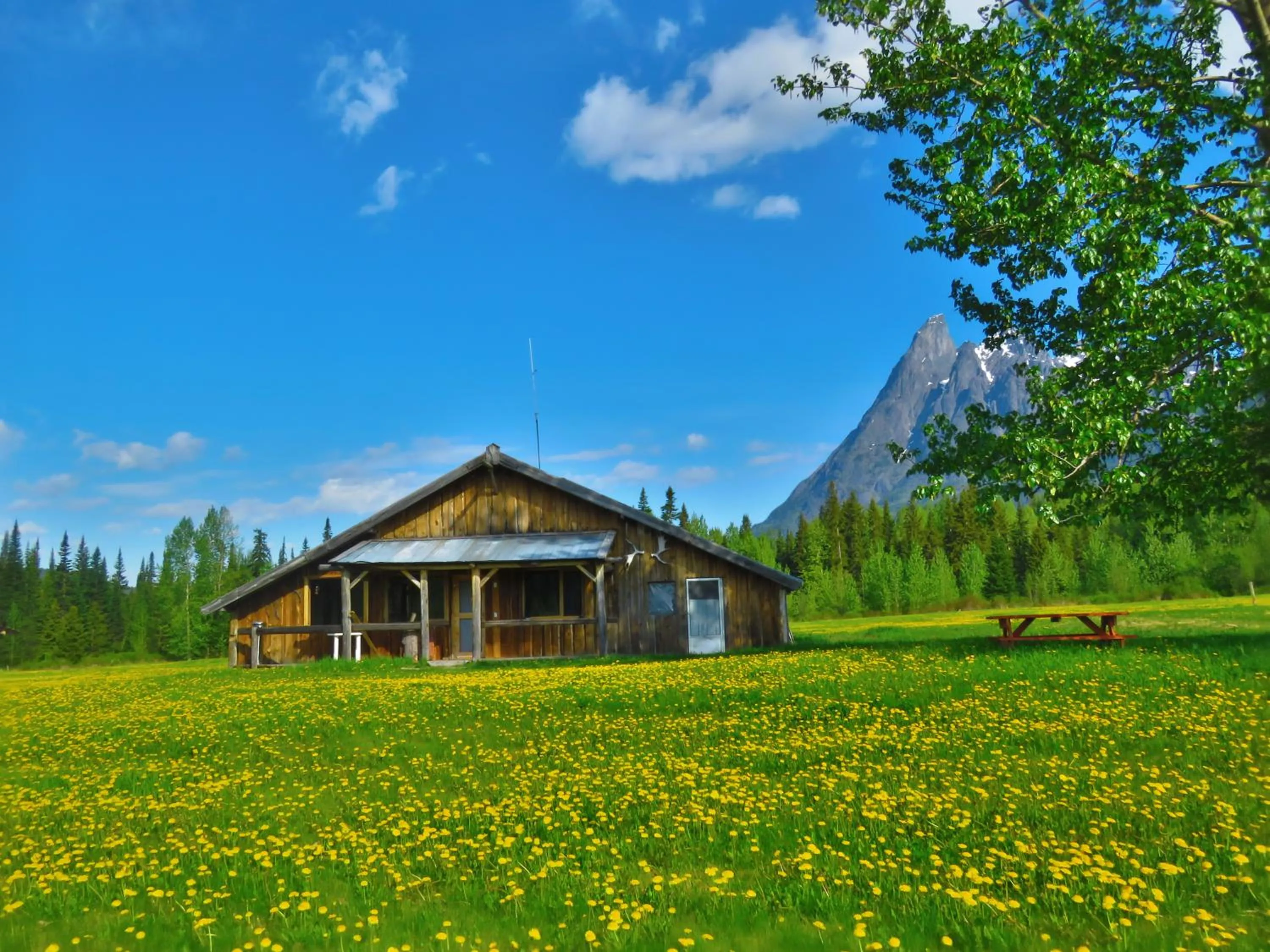 Area and facilities in Rocky Ridge Resort-BC