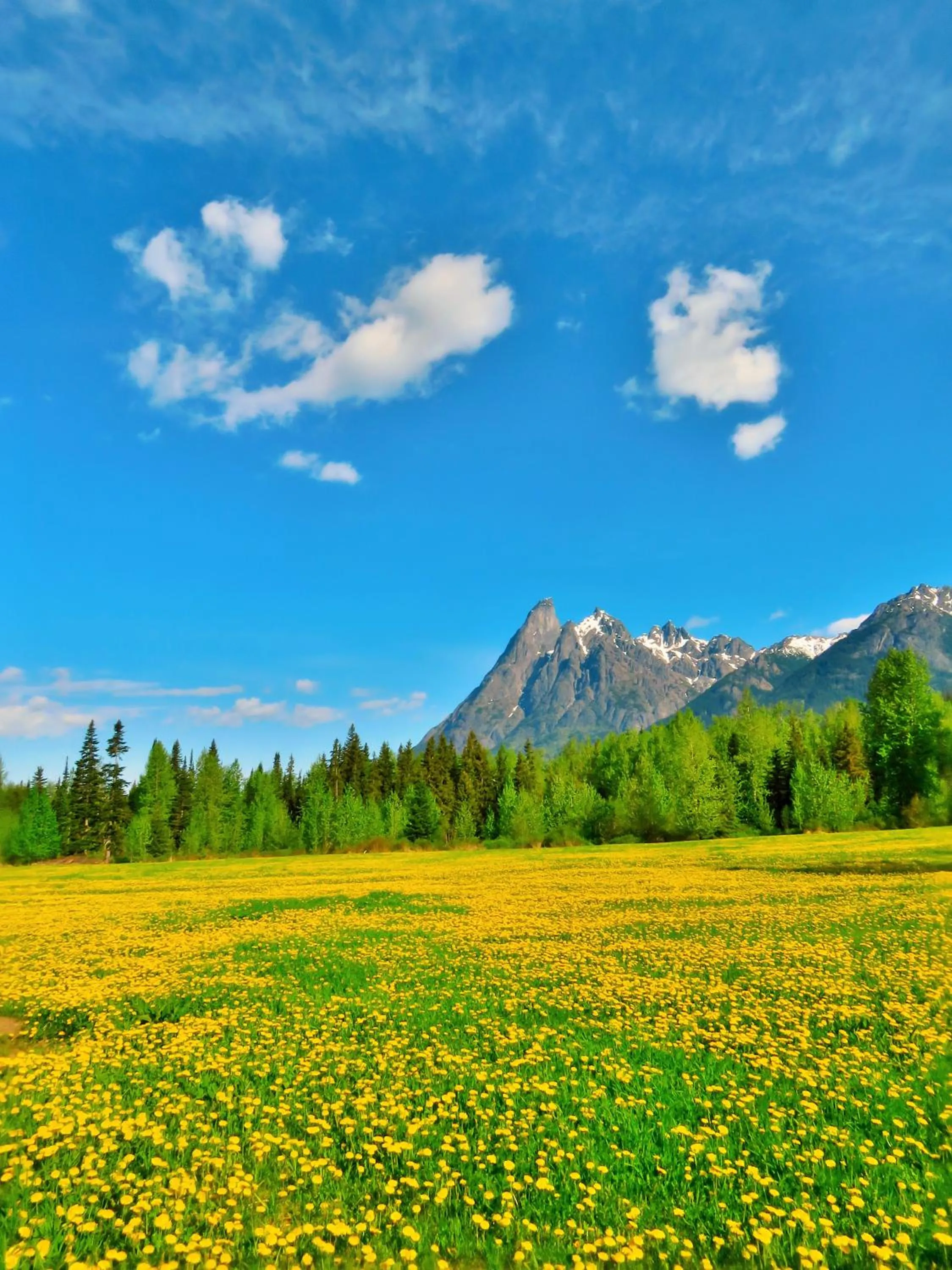 Natural landscape in Rocky Ridge Resort-BC