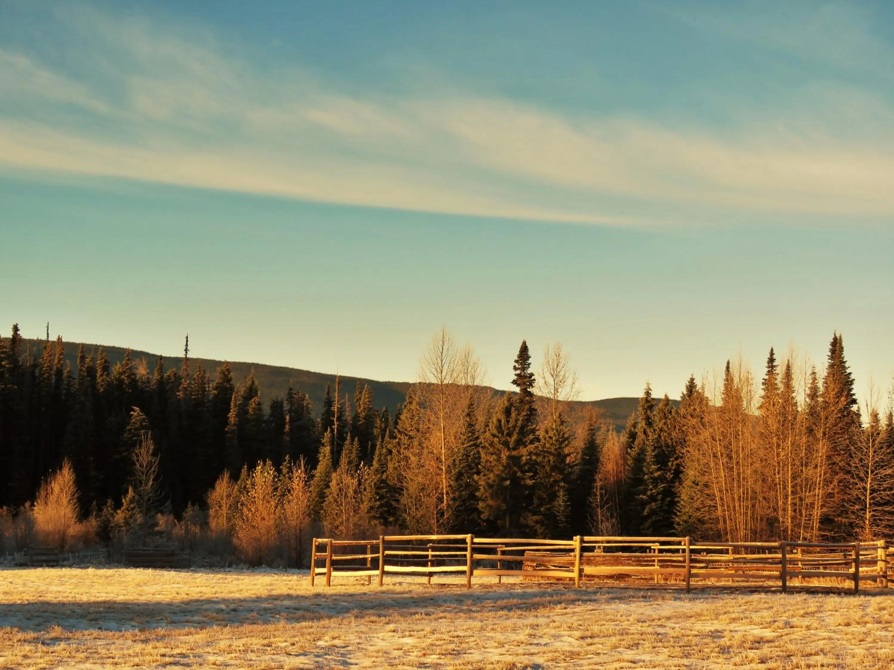 Mountain view in Rocky Ridge Resort-BC