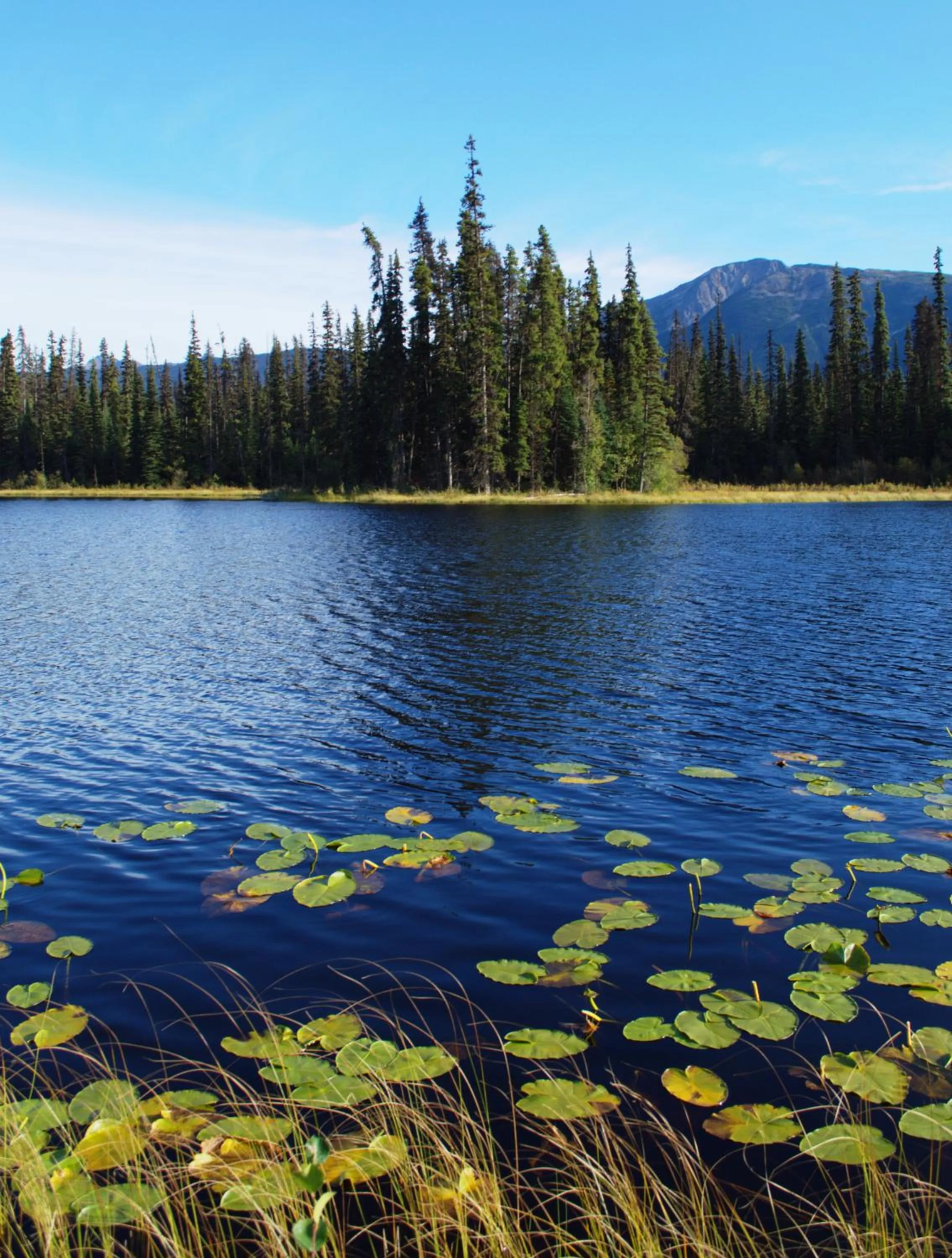 Off site in Rocky Ridge Resort-BC