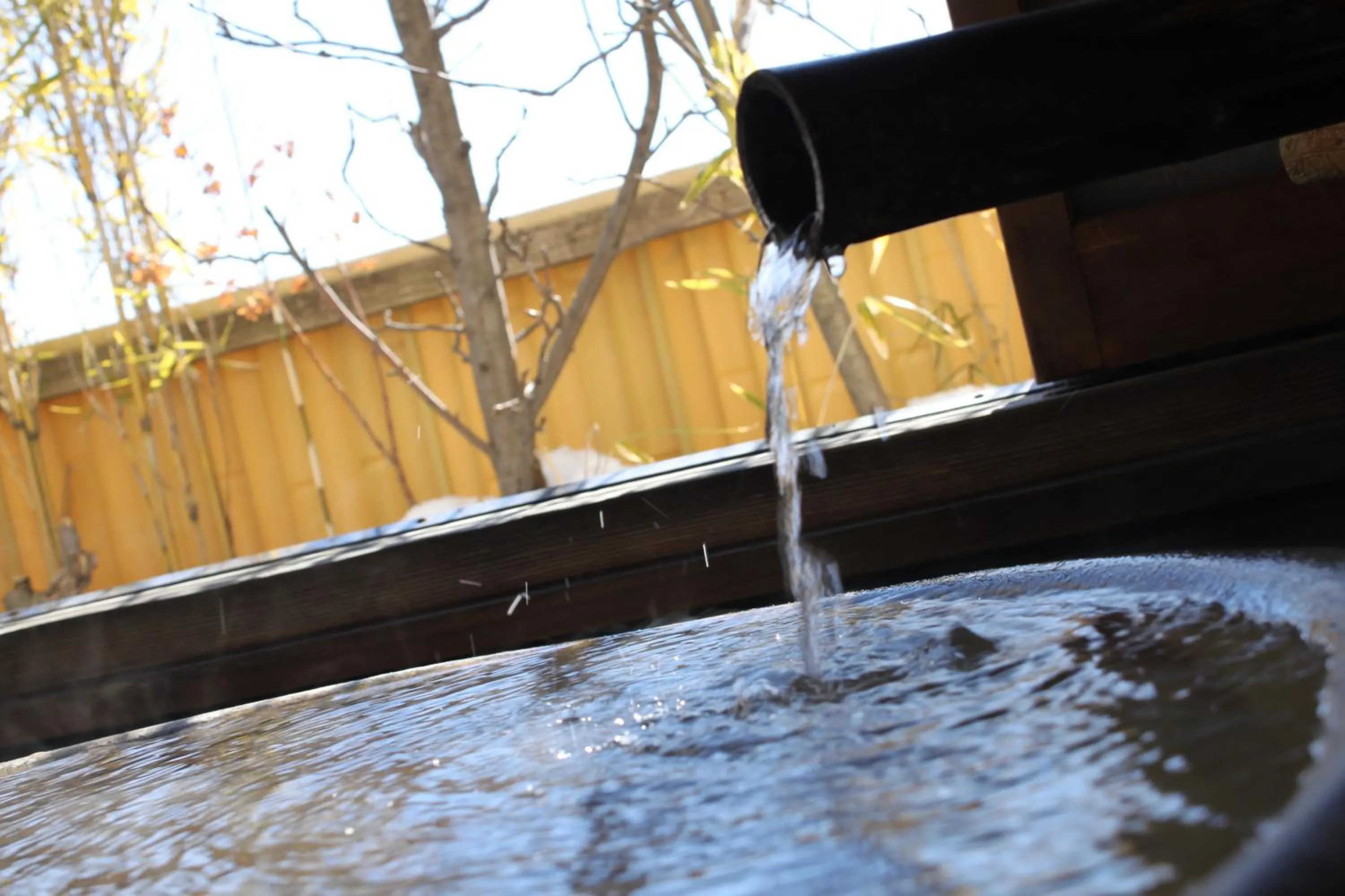 Hot Spring Bath in Hanaichi