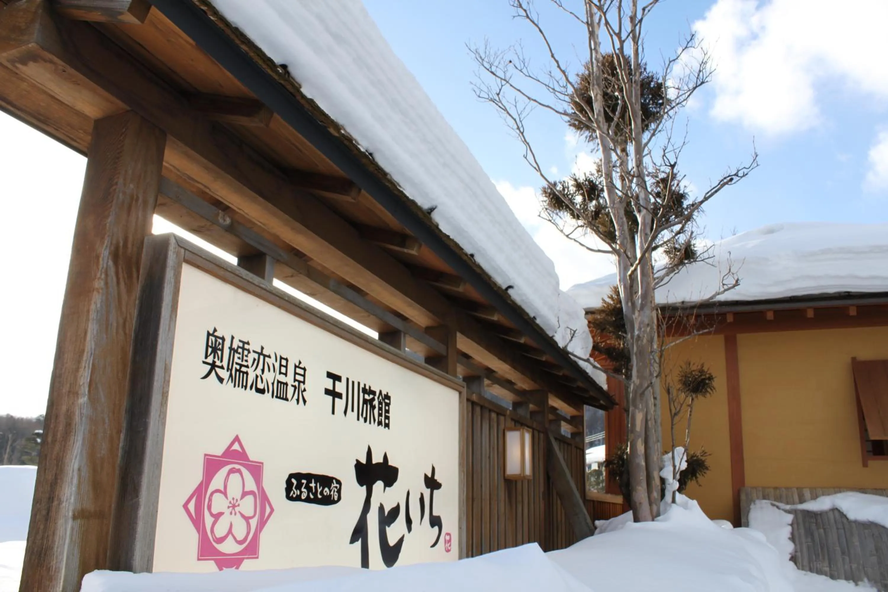 Property building in Hanaichi