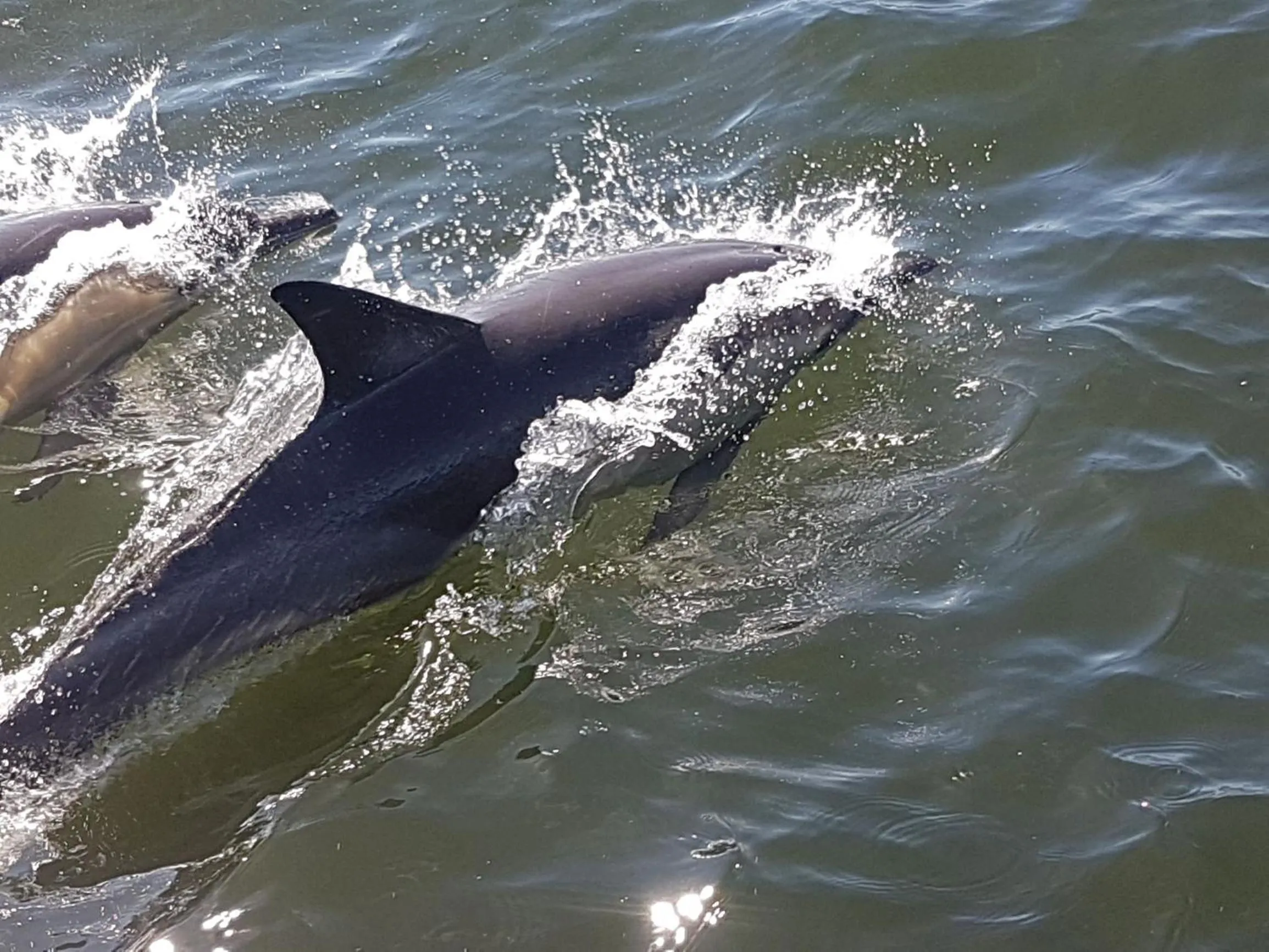 Spring in Amazing Grace B&B