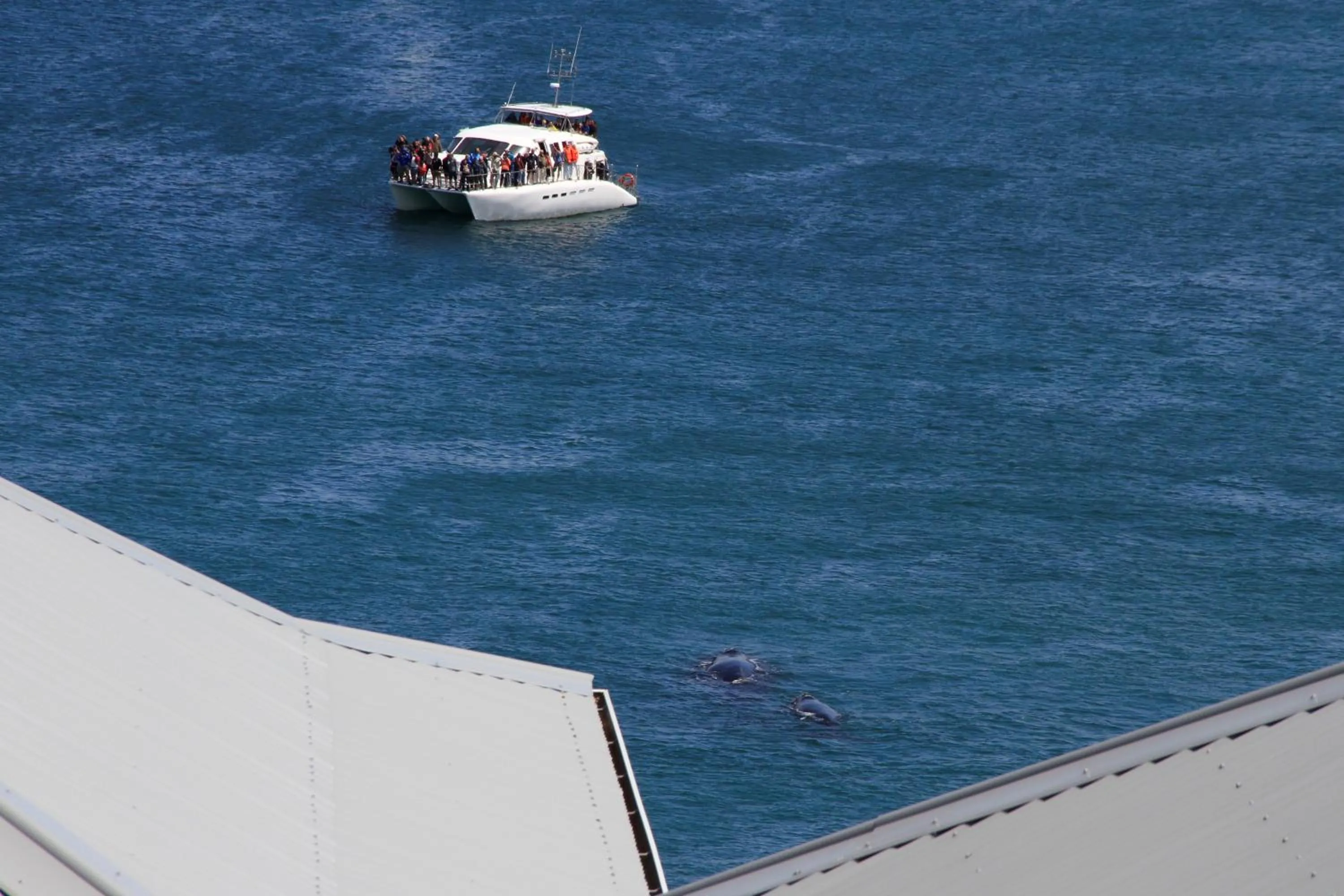 Spring in Amazing Grace B&B