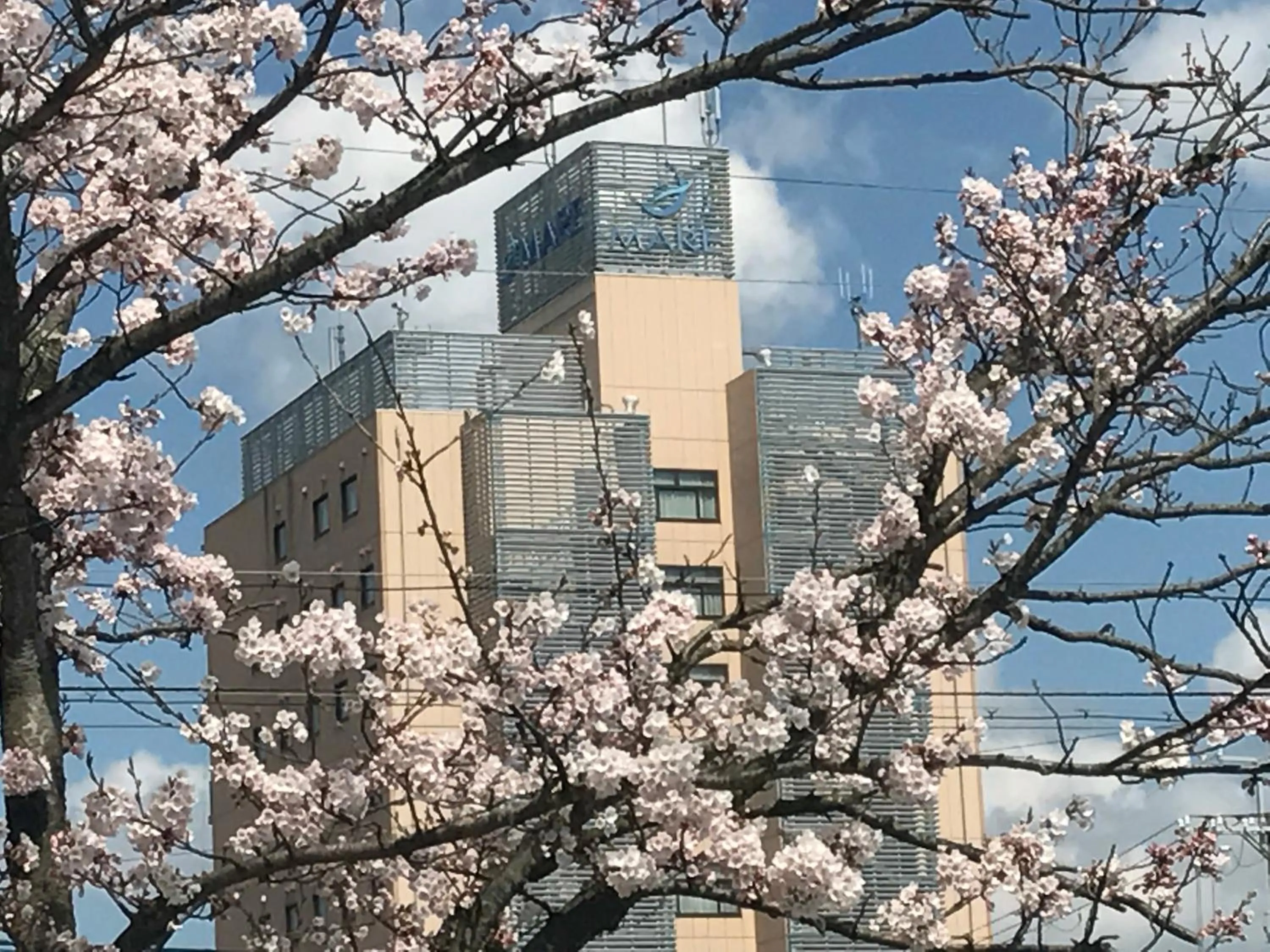 Property building in Hotel BELLMARE ホテルベルマーレ