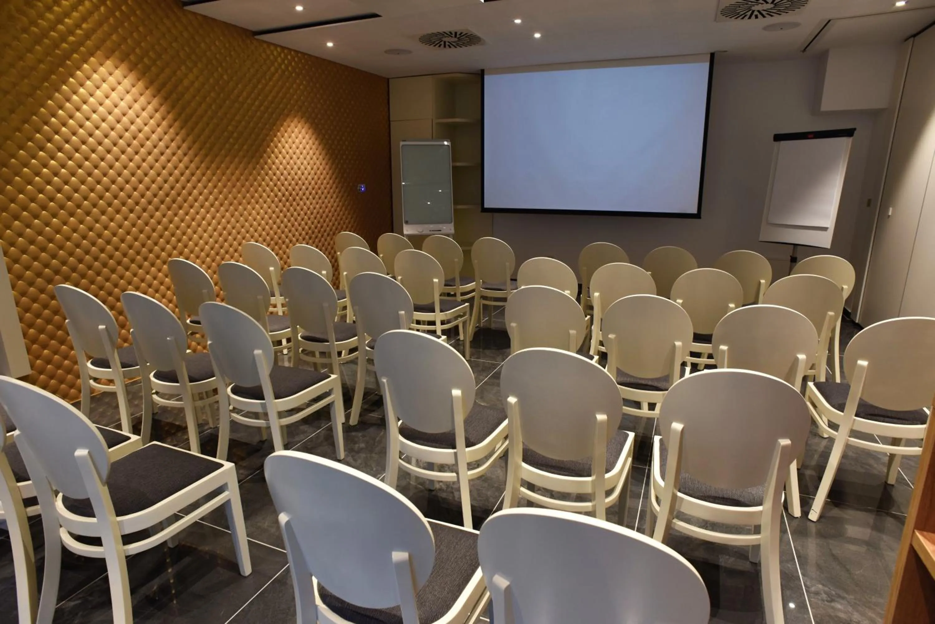 Meeting/conference room in Hotel Santiny