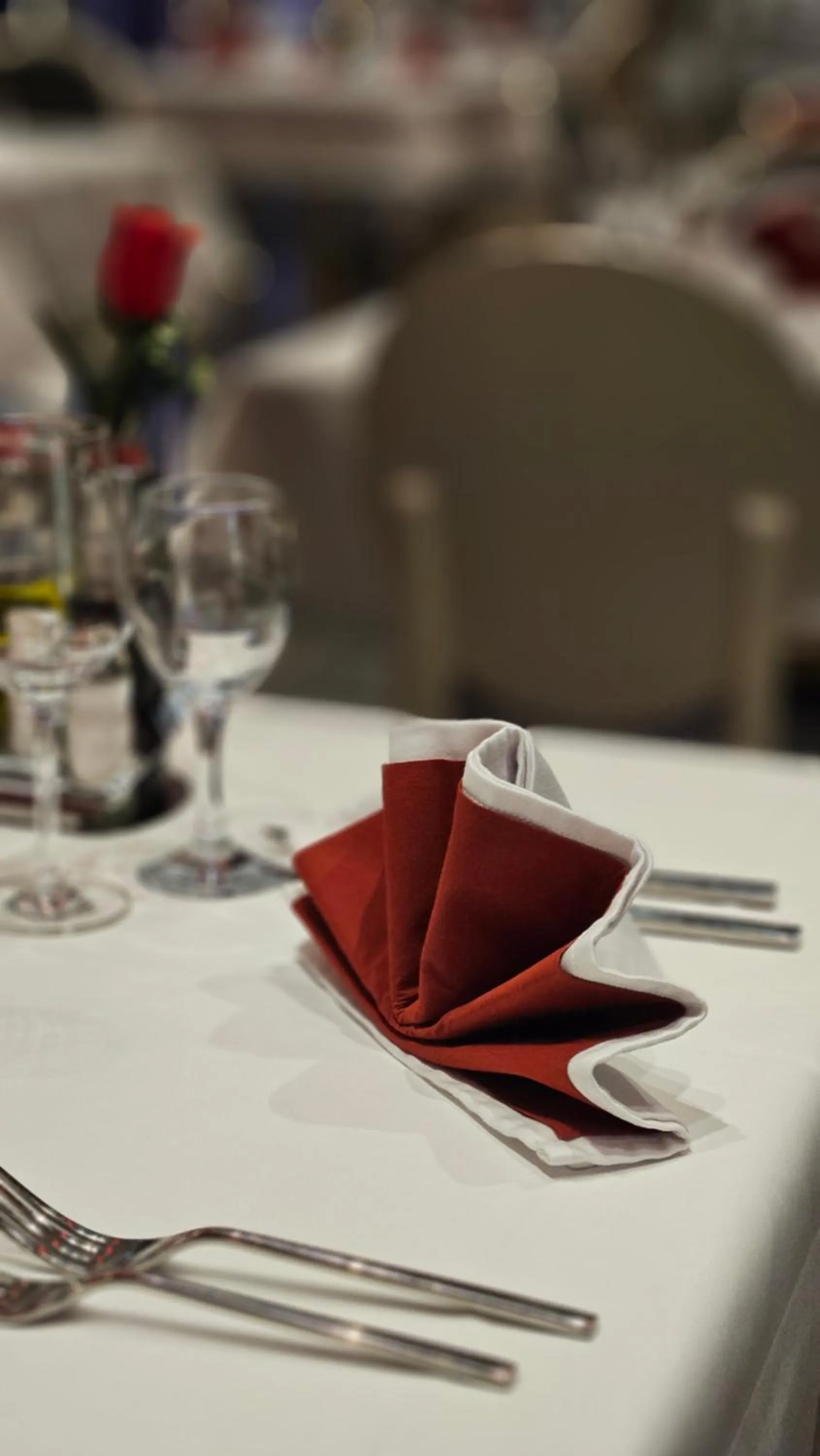 Restaurant/places to eat in Hotel Santiny