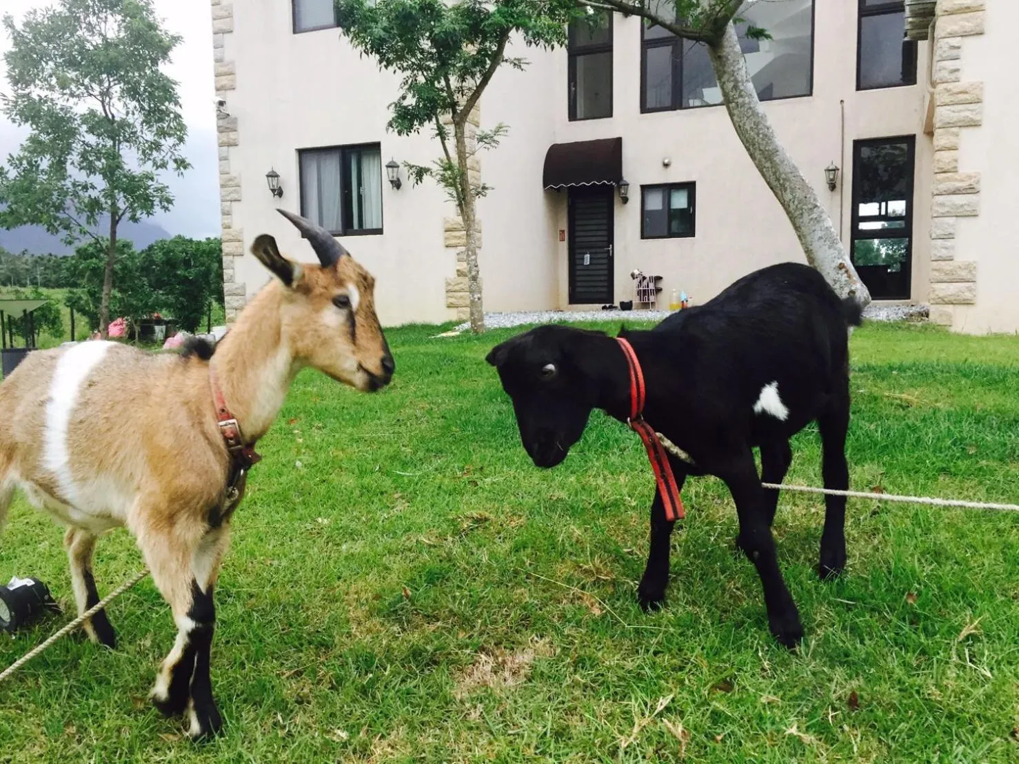 Taroko Mountain View B&B