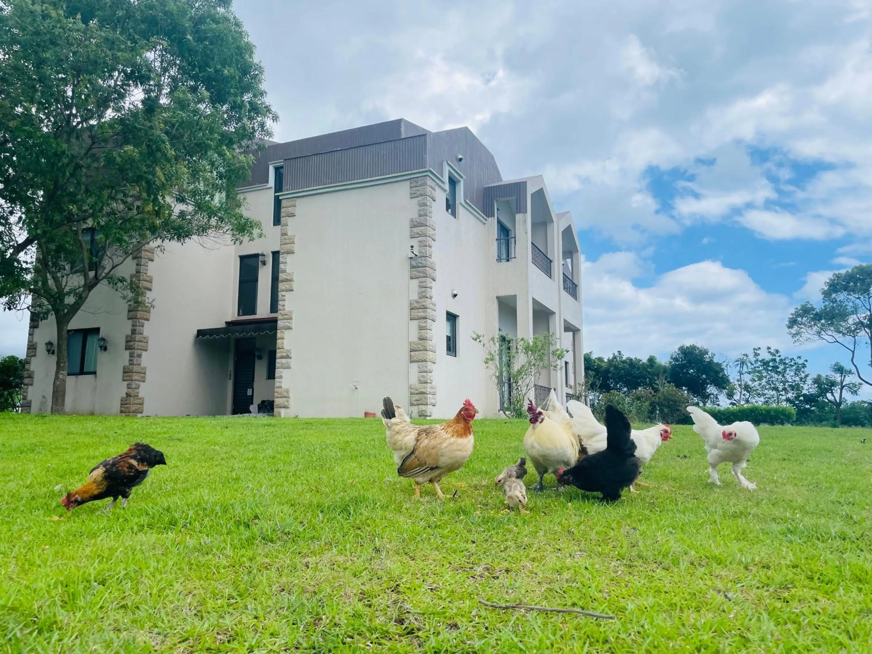 Taroko Mountain View B&B