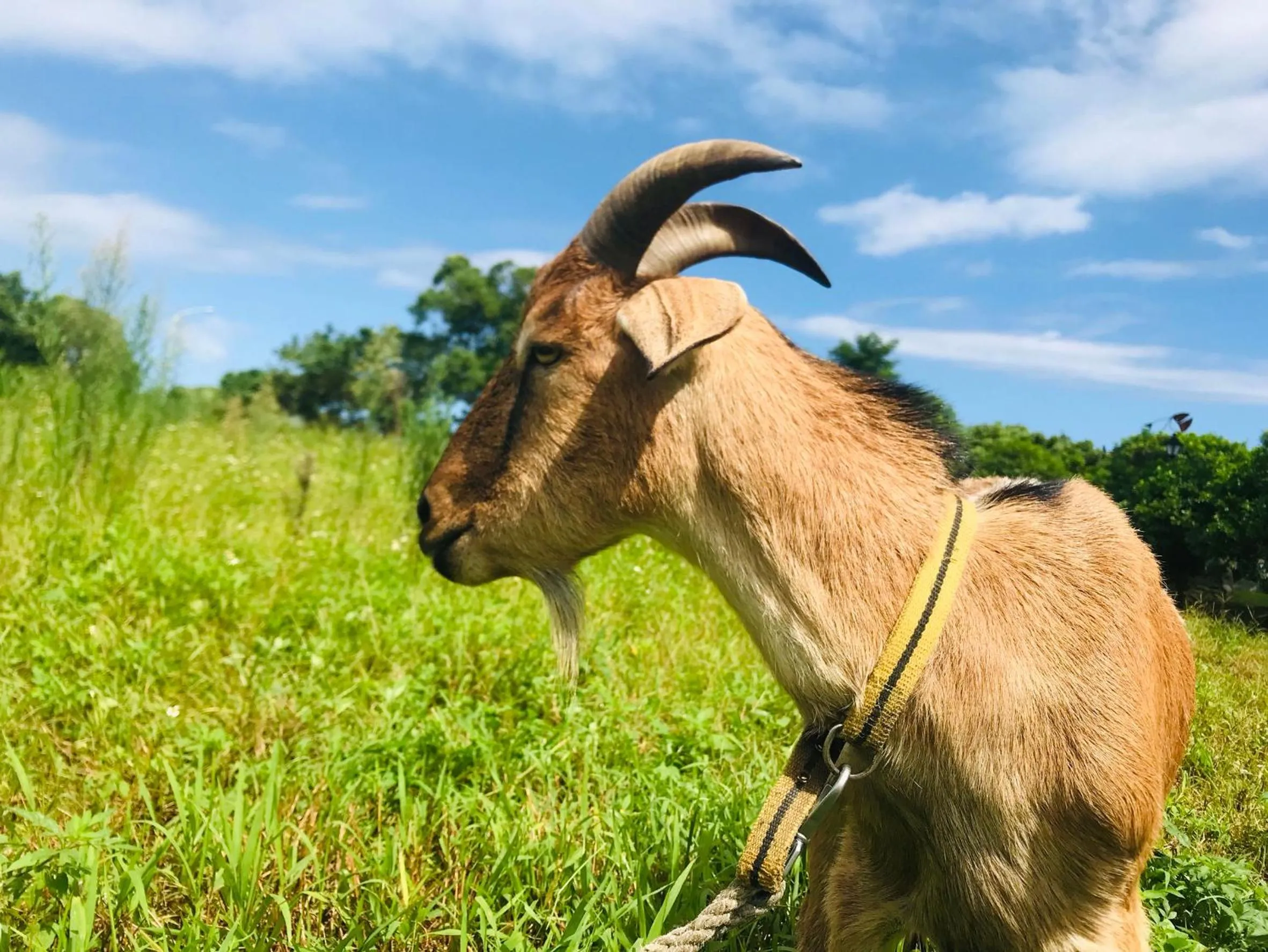 Taroko Mountain View B&B