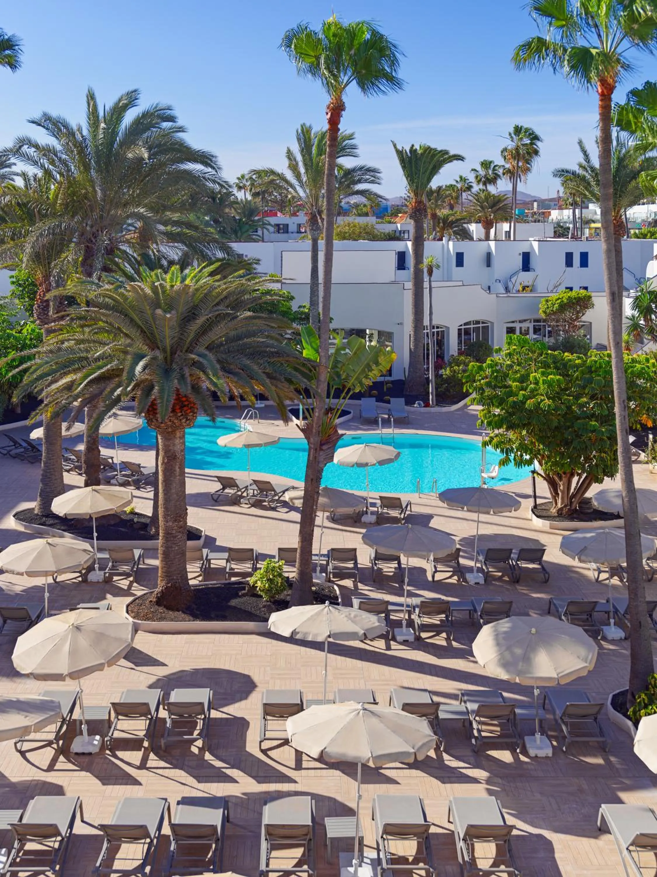 Swimming pool in H10 Ocean Dunas - Adults Only