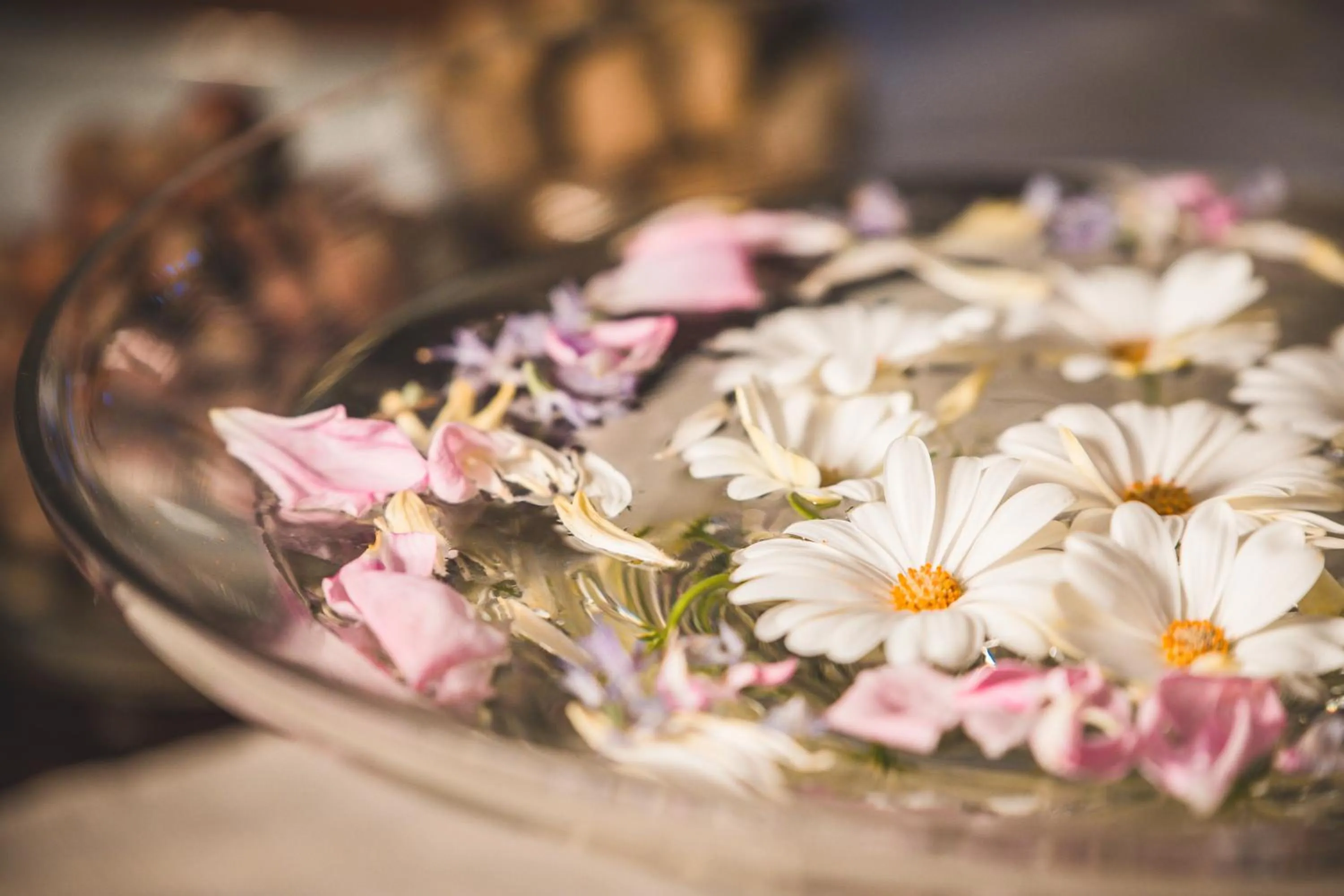 Lobby or reception in Maison Fernanda