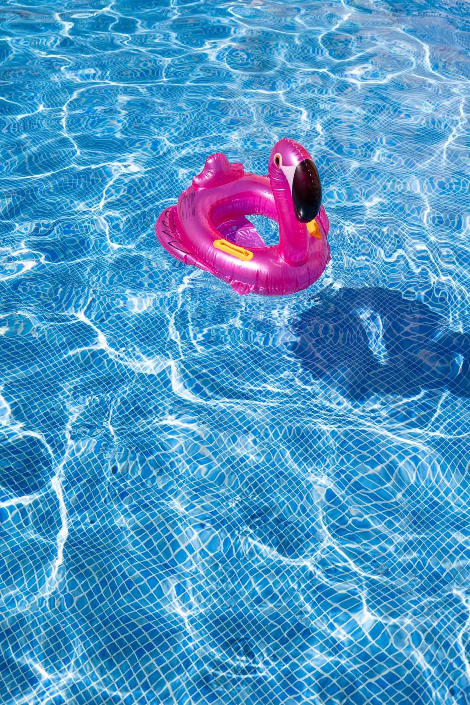 Swimming pool in Los Ficus, Maspalomas