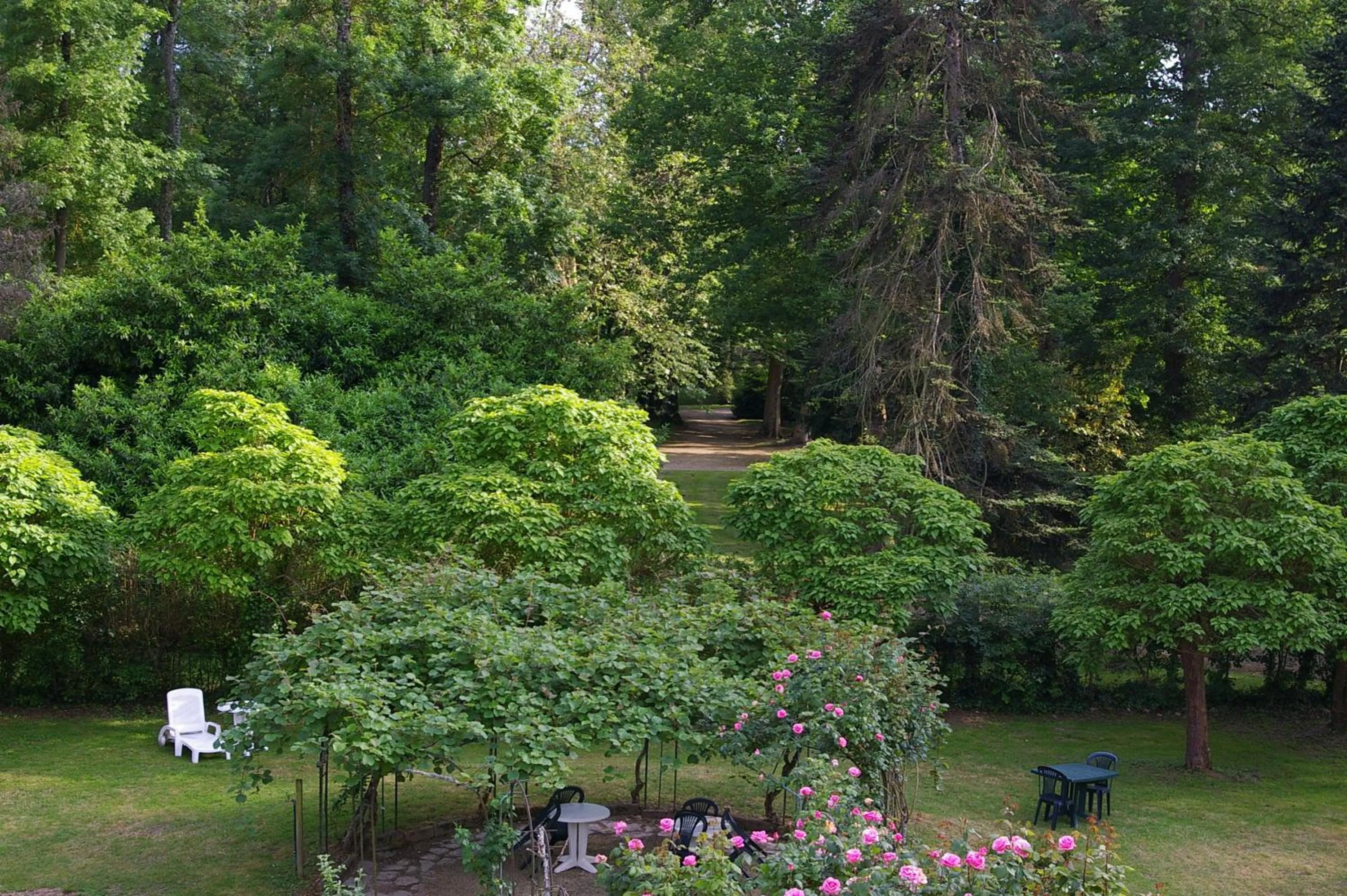 Garden view in Hostellerie de La Roseraie