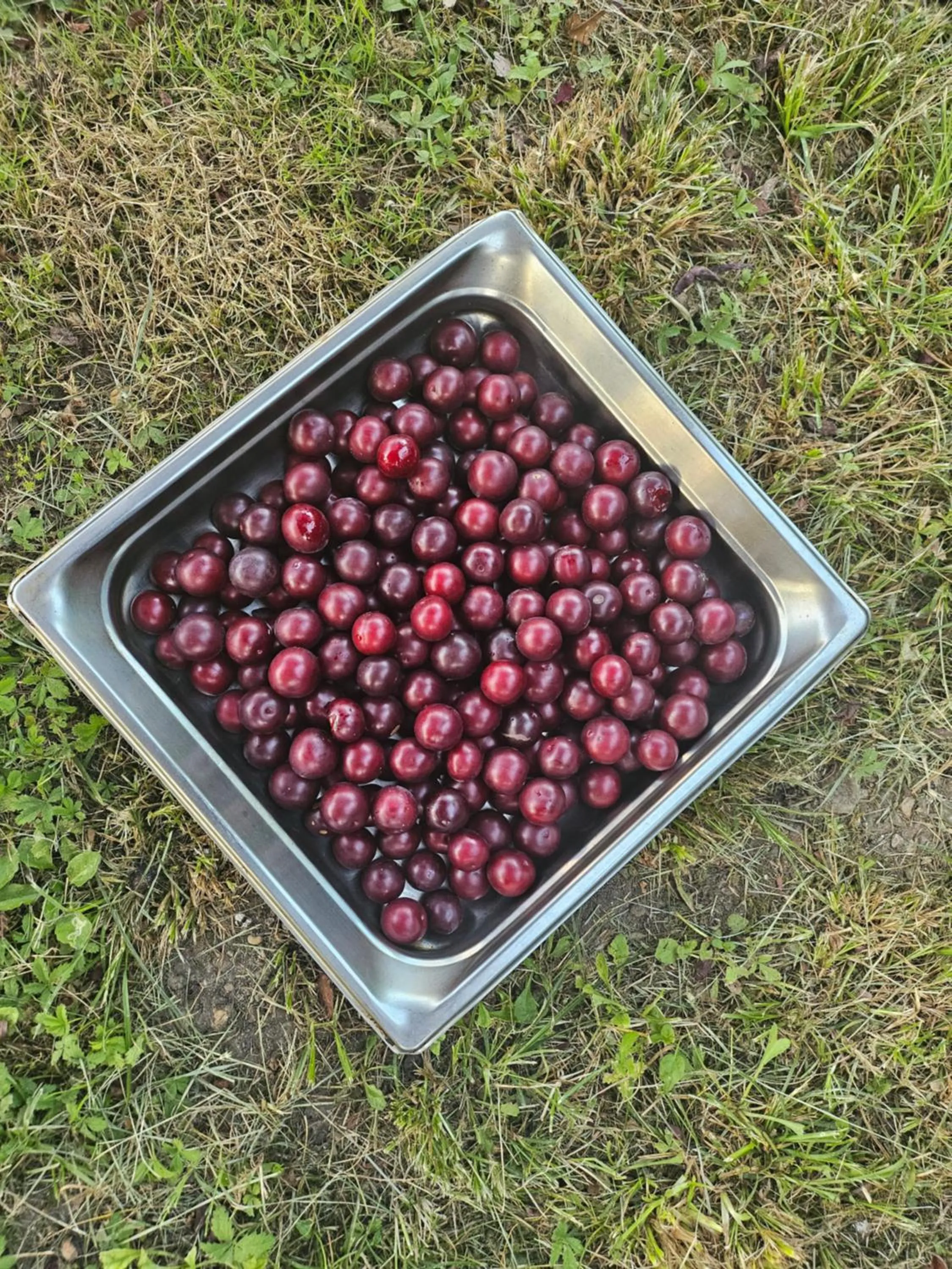 Hostellerie de La Roseraie