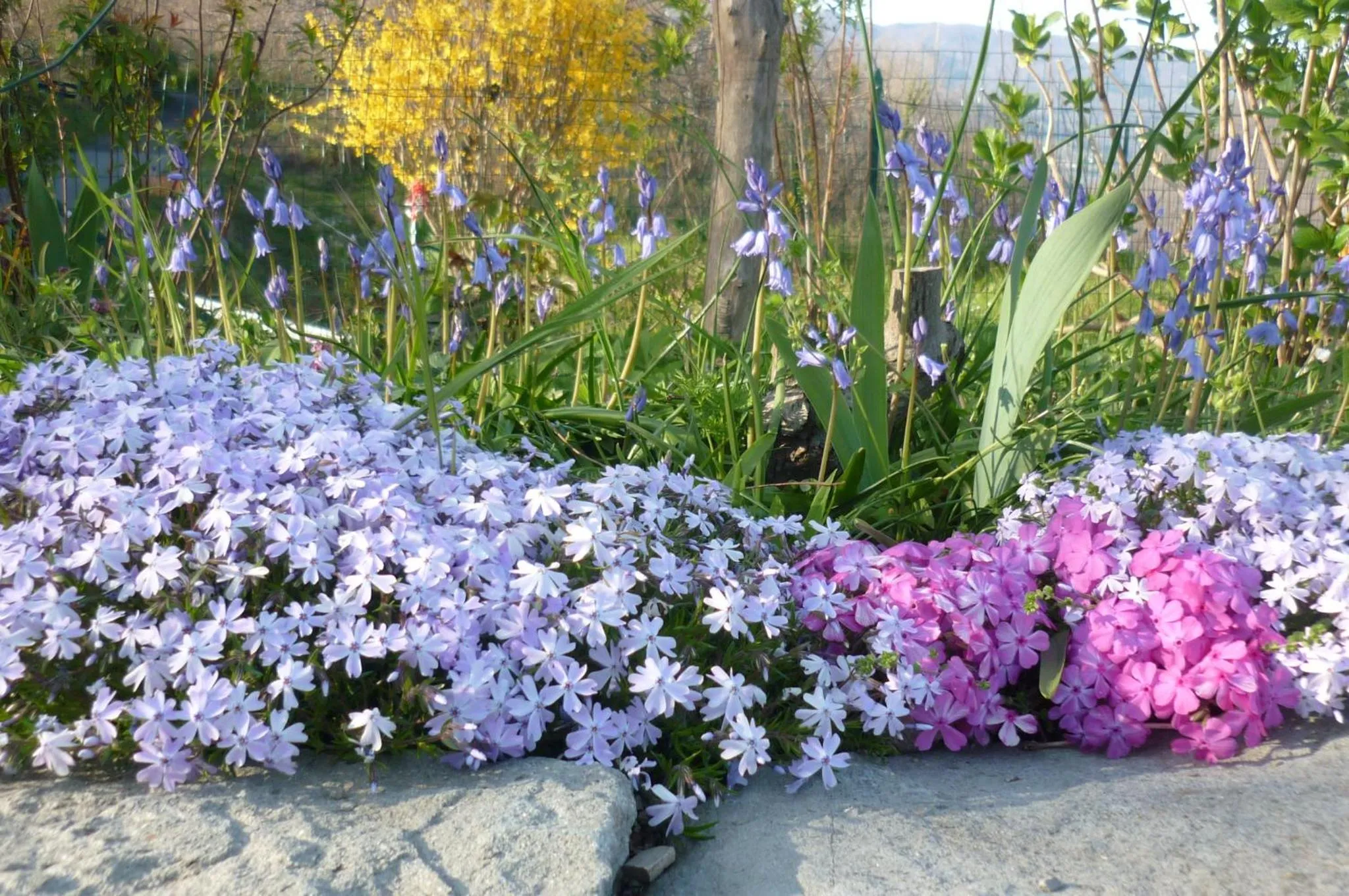 Neighbourhood in Il Poggio di Traverde