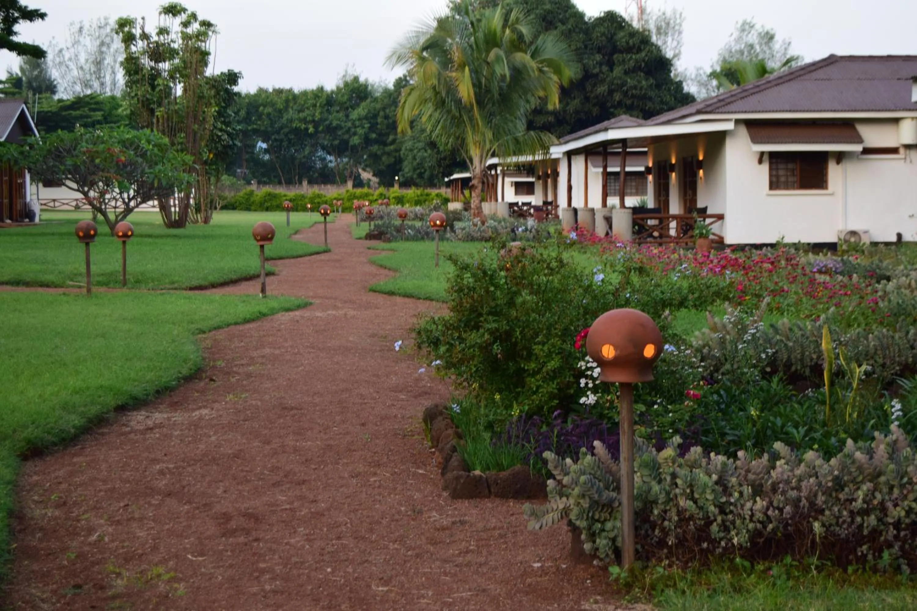 Garden in Ameg Lodge Kilimanjaro