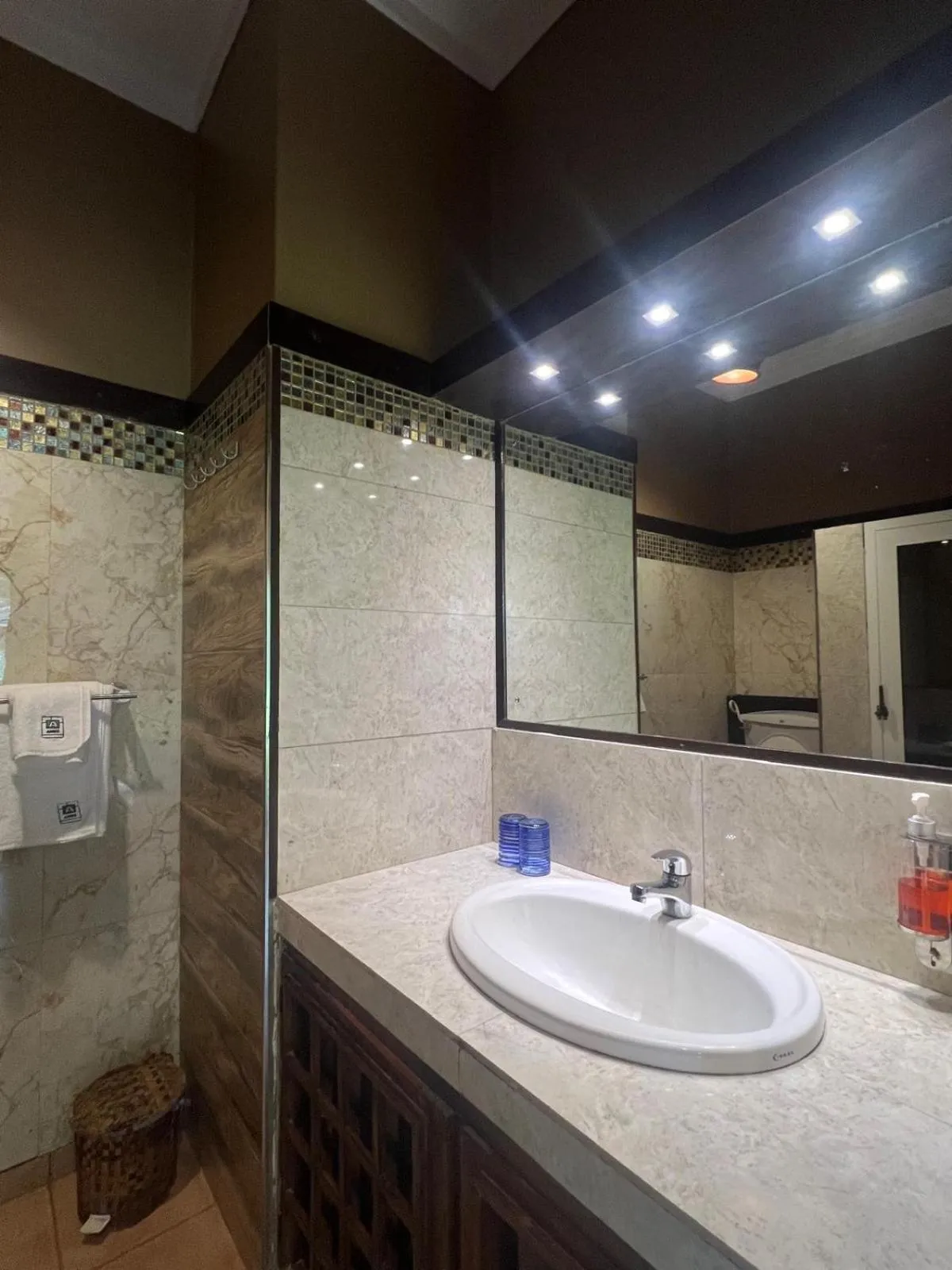 Bathroom in Ameg Lodge Kilimanjaro