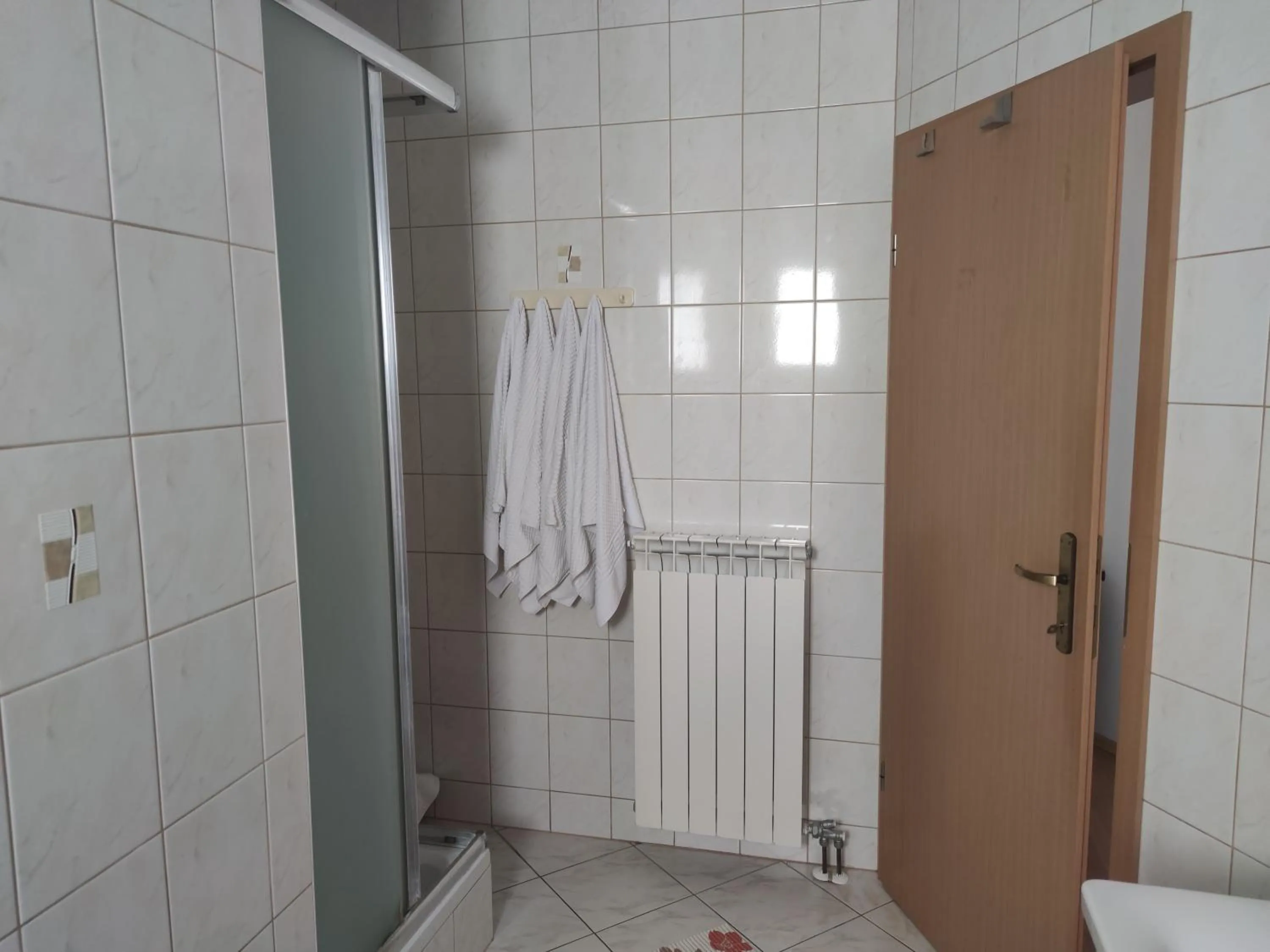 Shower in Apartments Dijana