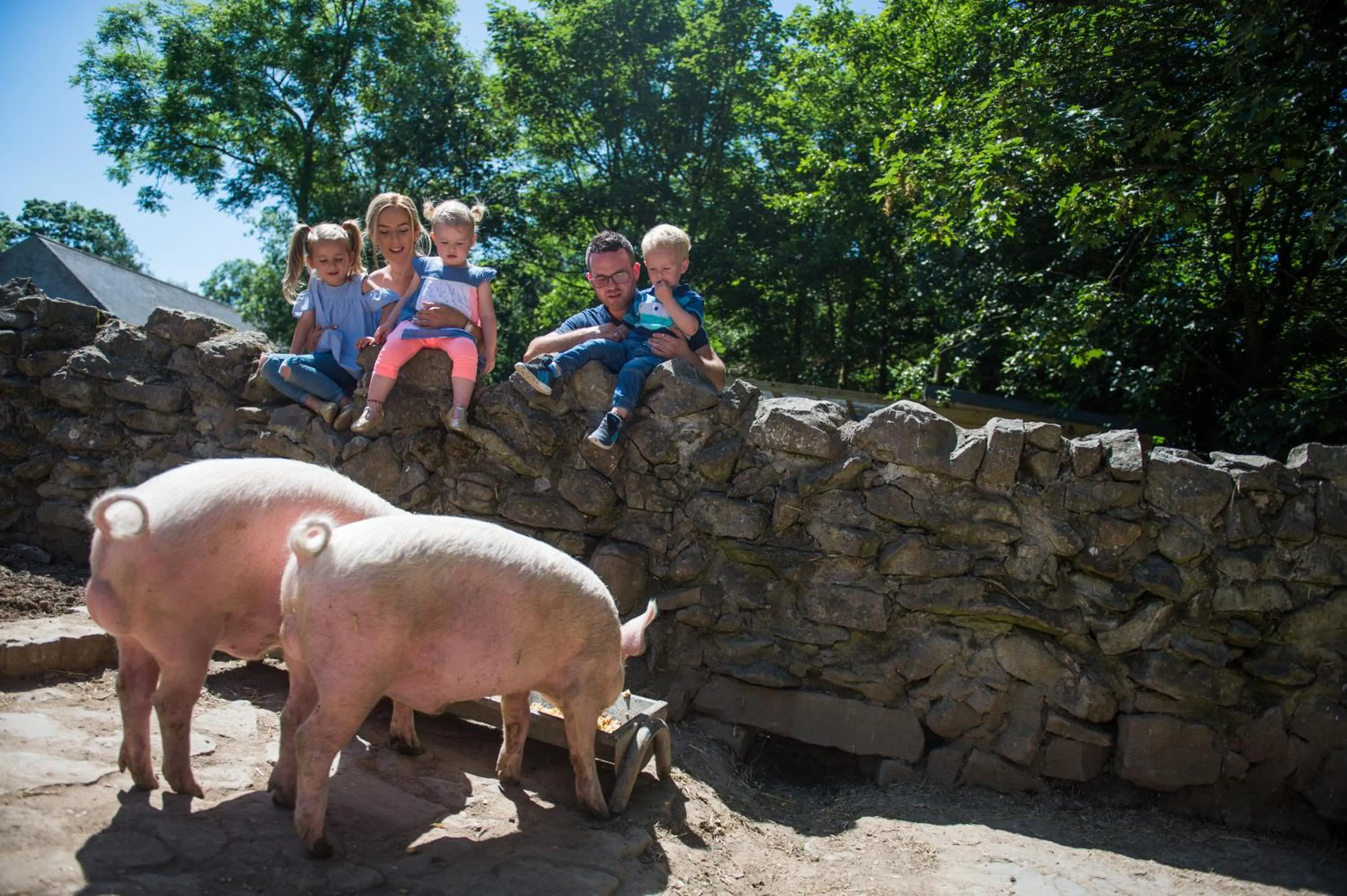 Treacys Oakwood Hotel, Shannon