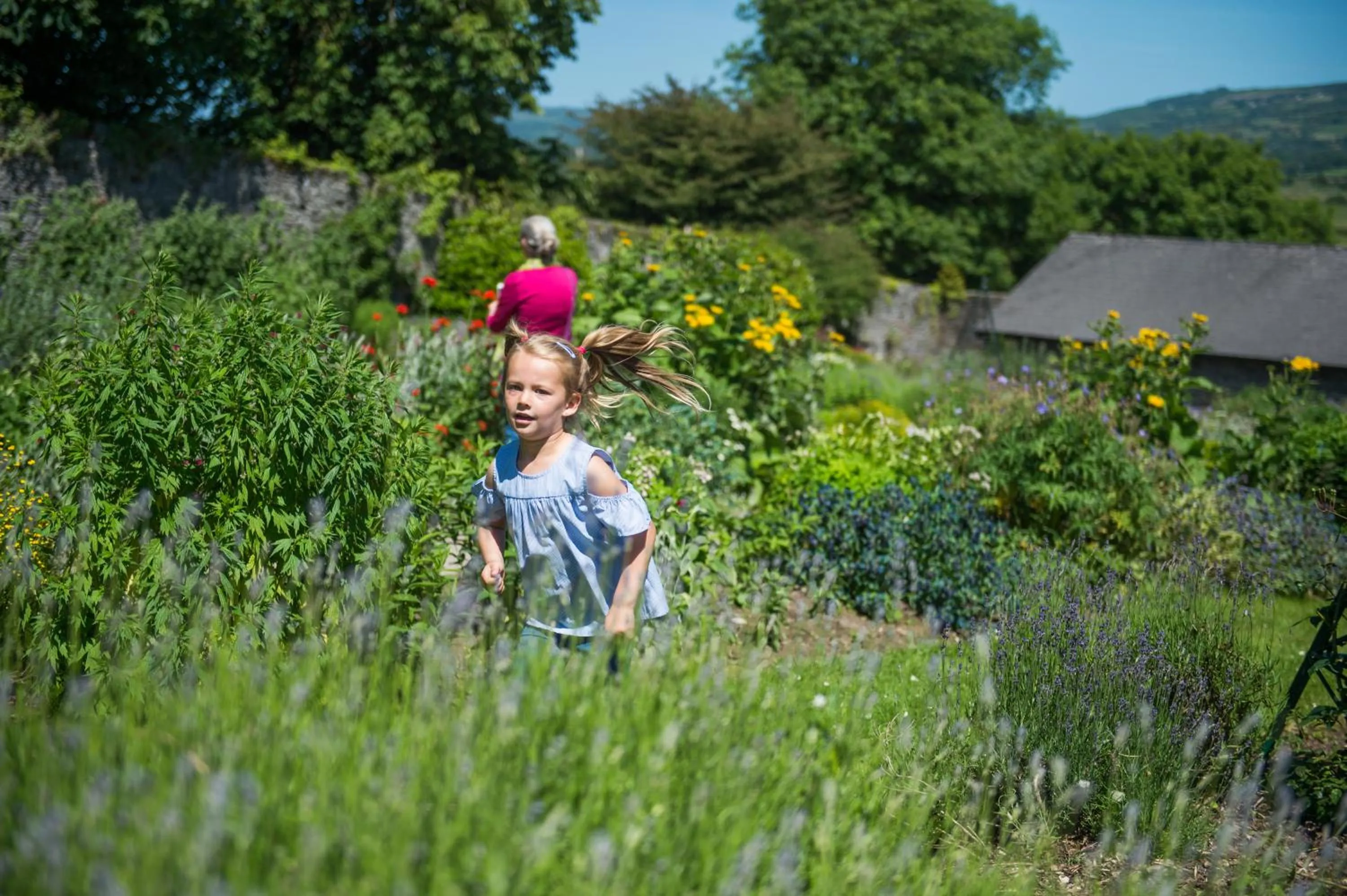 Treacys Oakwood Hotel, Shannon