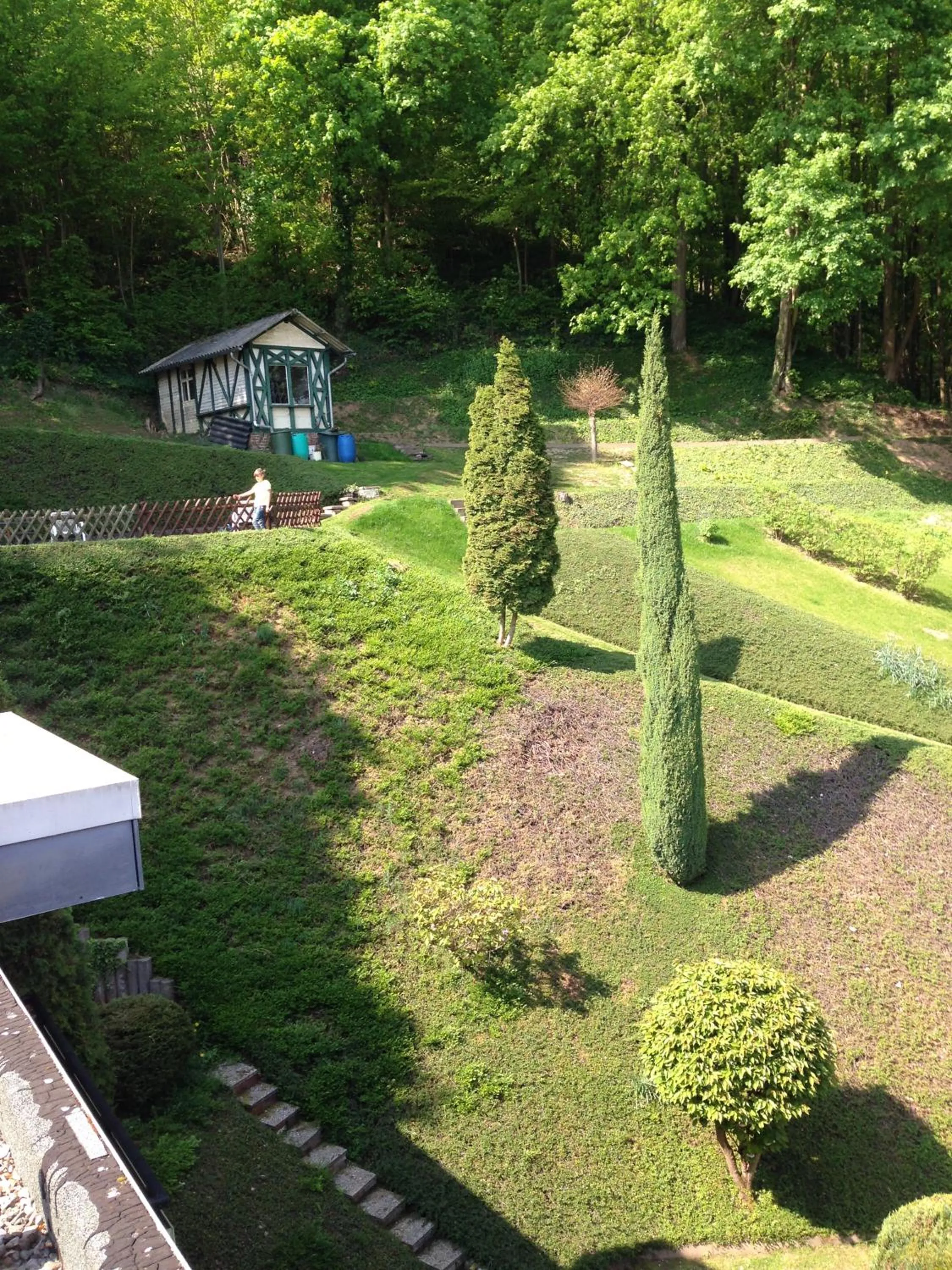 Garden in Hotel Martina