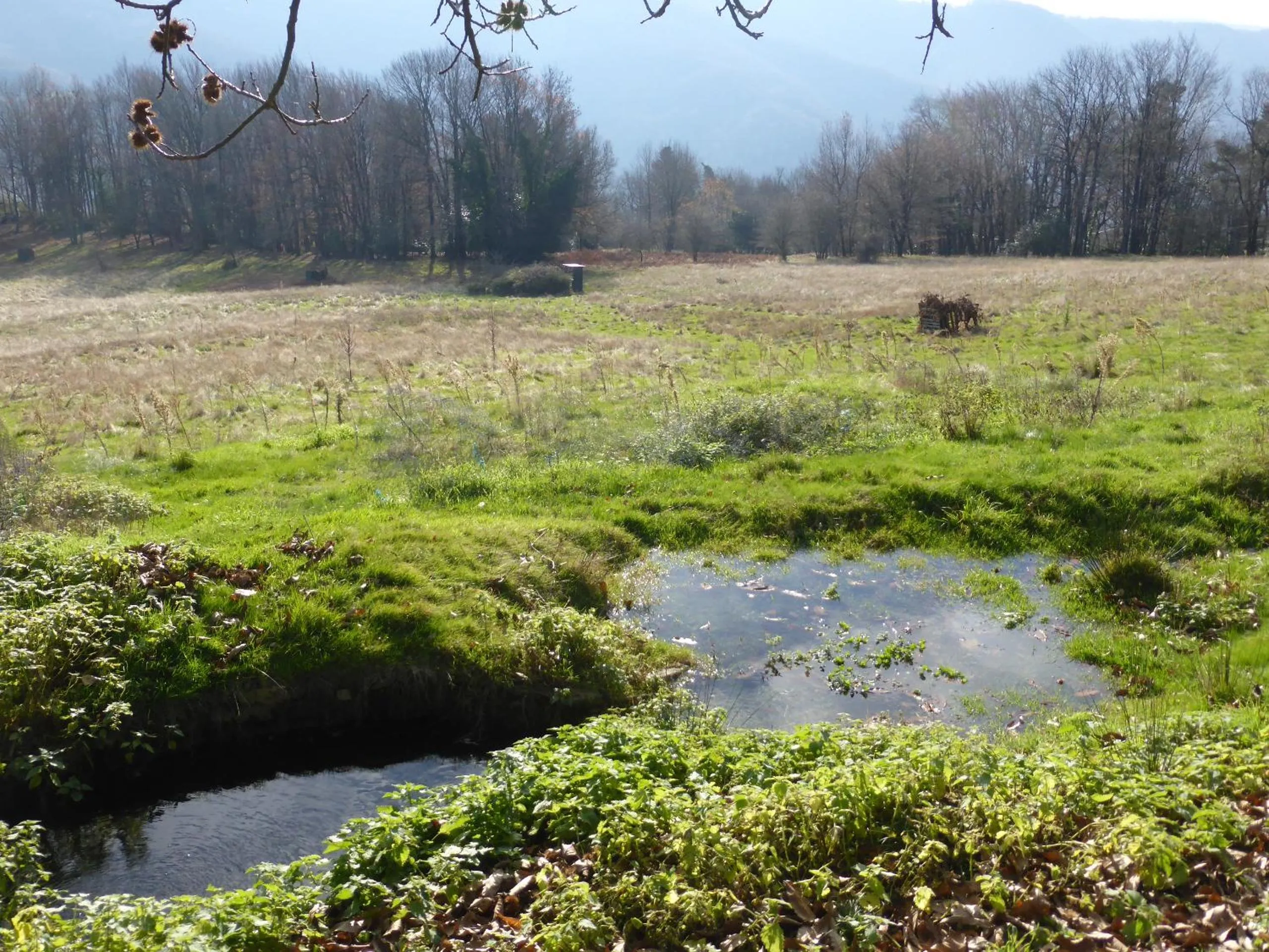 Garden in B&B Bouton D'Or La Bouriotte
