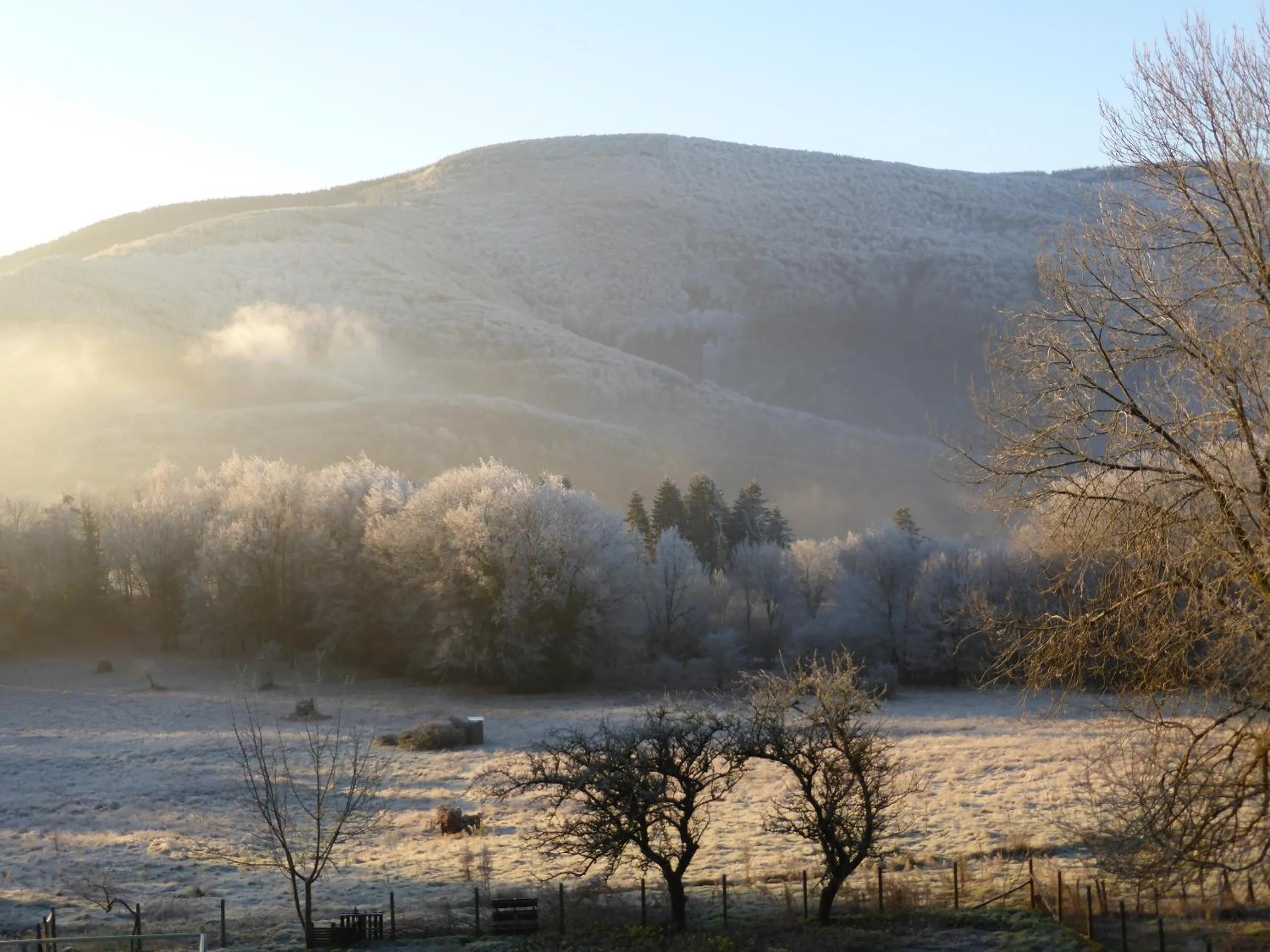 Garden view in B&B Bouton D'Or La Bouriotte