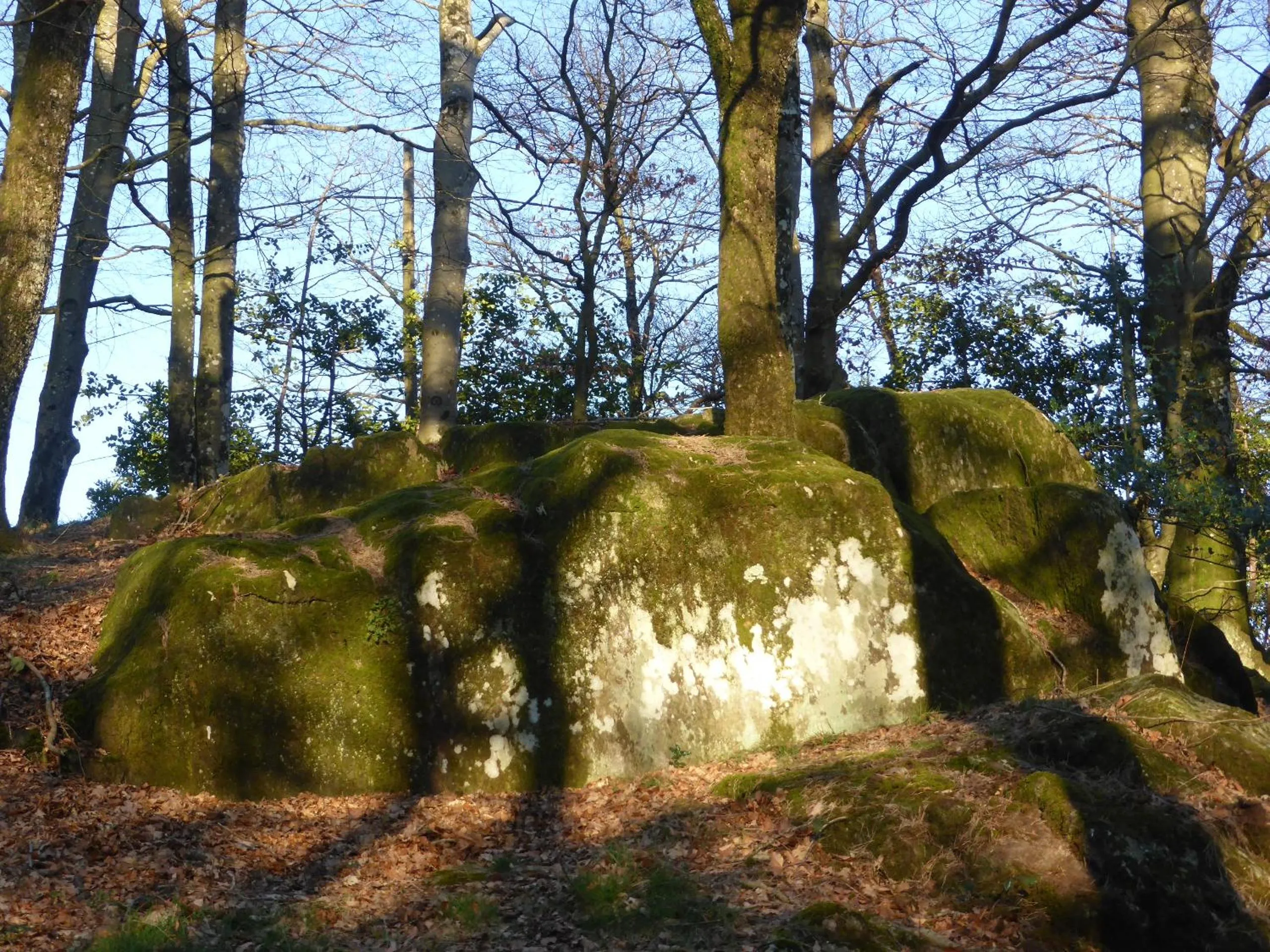 B&B Bouton D'Or La Bouriotte