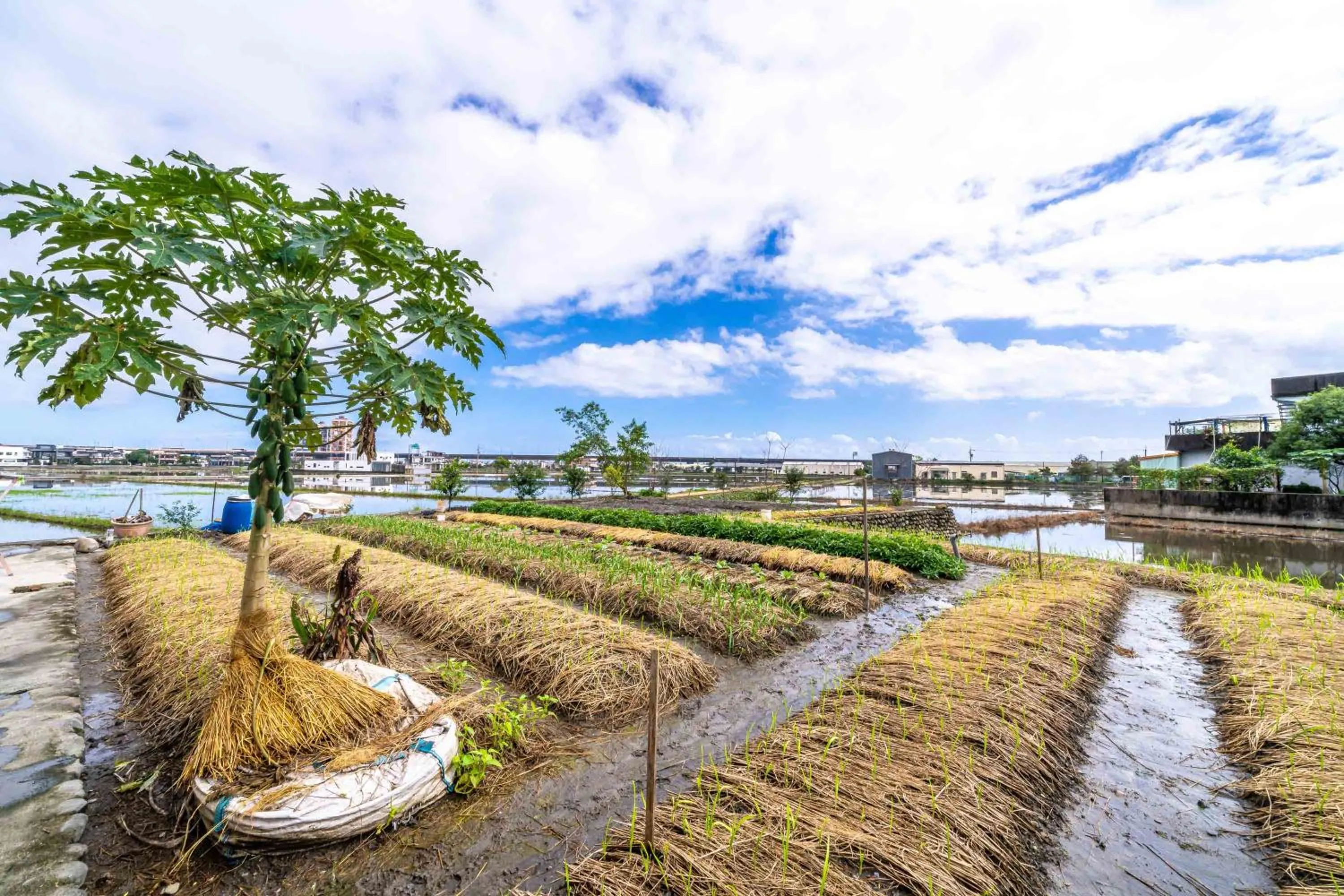 Property building in Aurora Castle