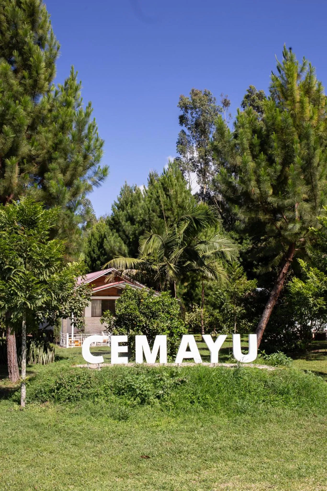 Garden view in Cemayu Lodge
