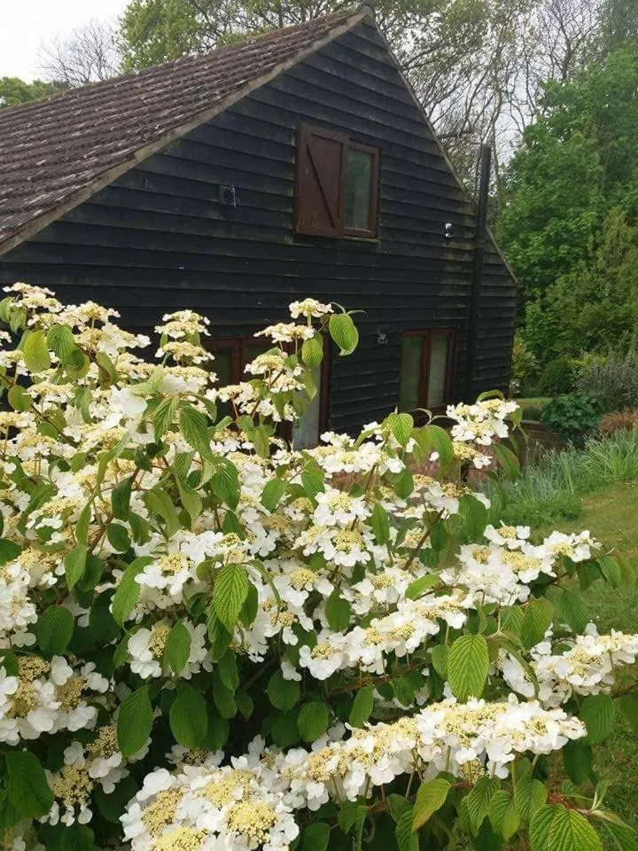 Property building in The Retreat