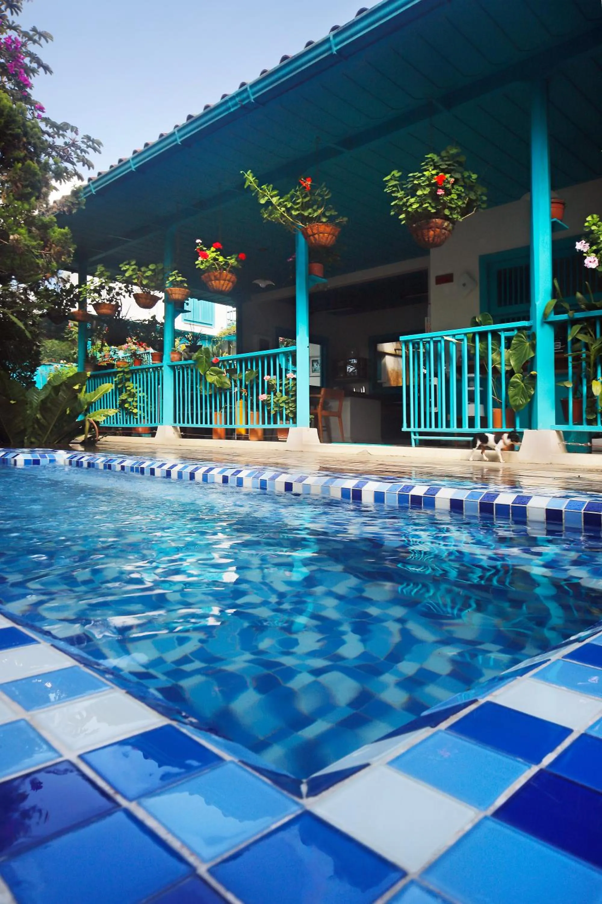 Hot Tub in Casa de las Dos Palmas
