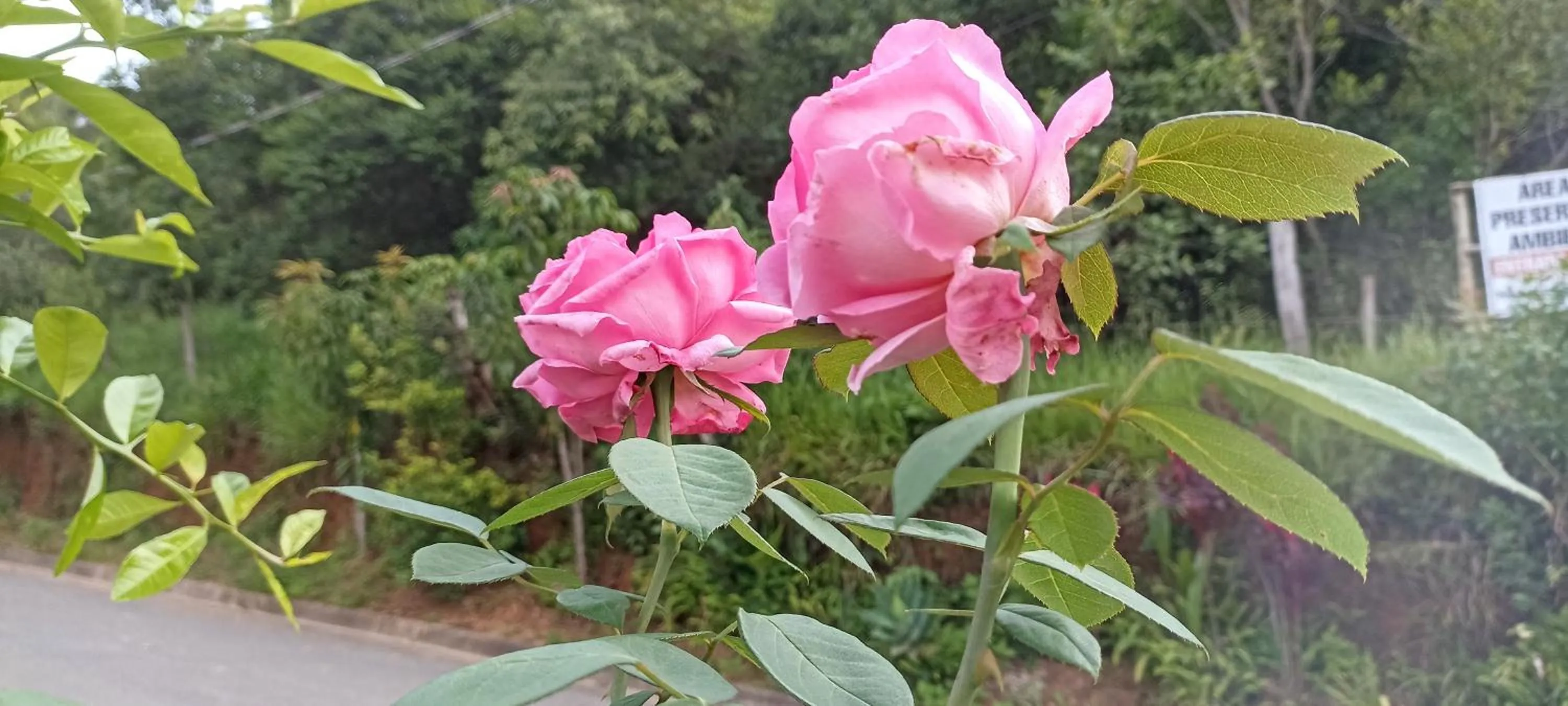 Spring in Pousada Alejandro