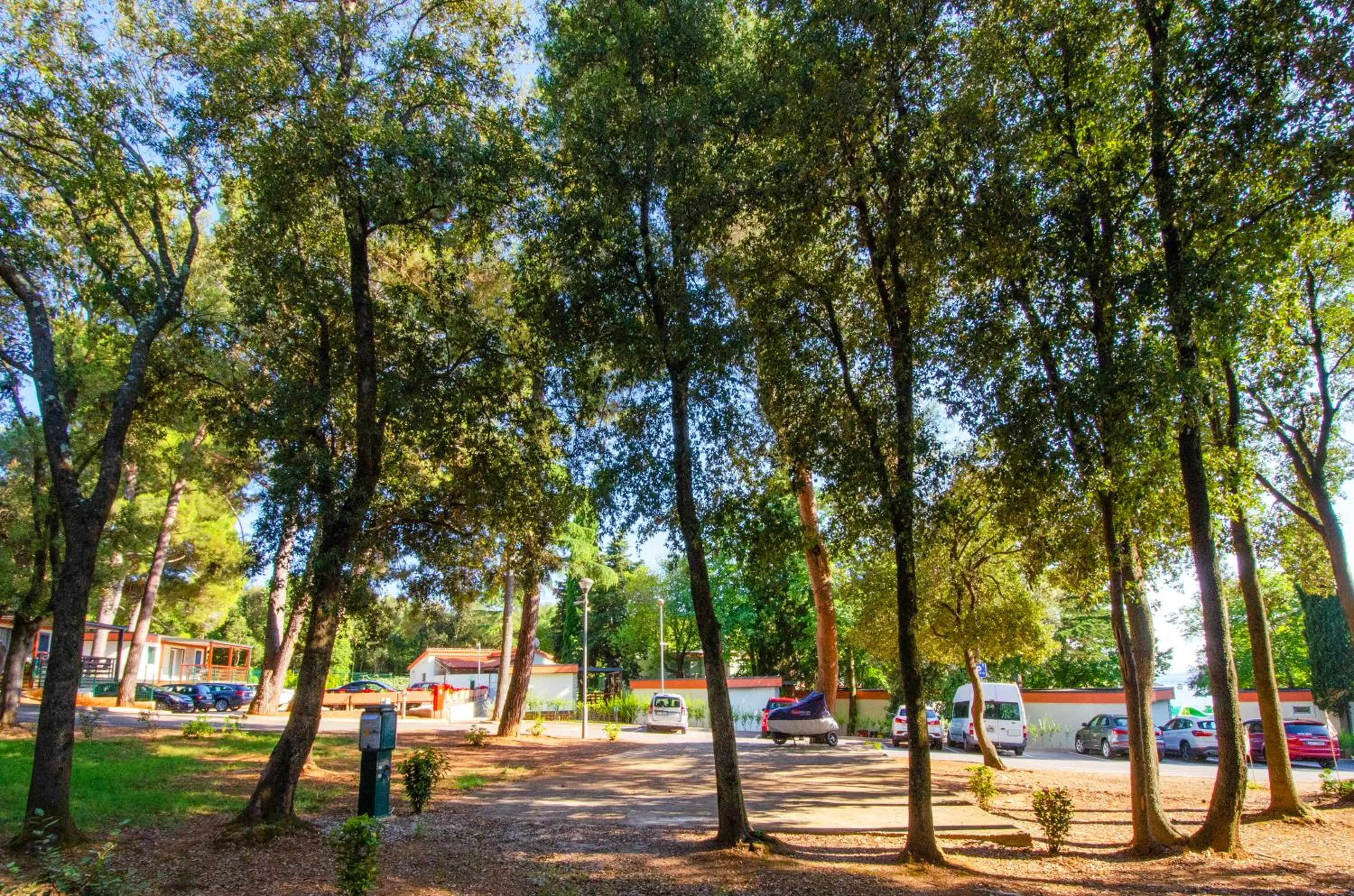 Natural landscape in Centinera Resort