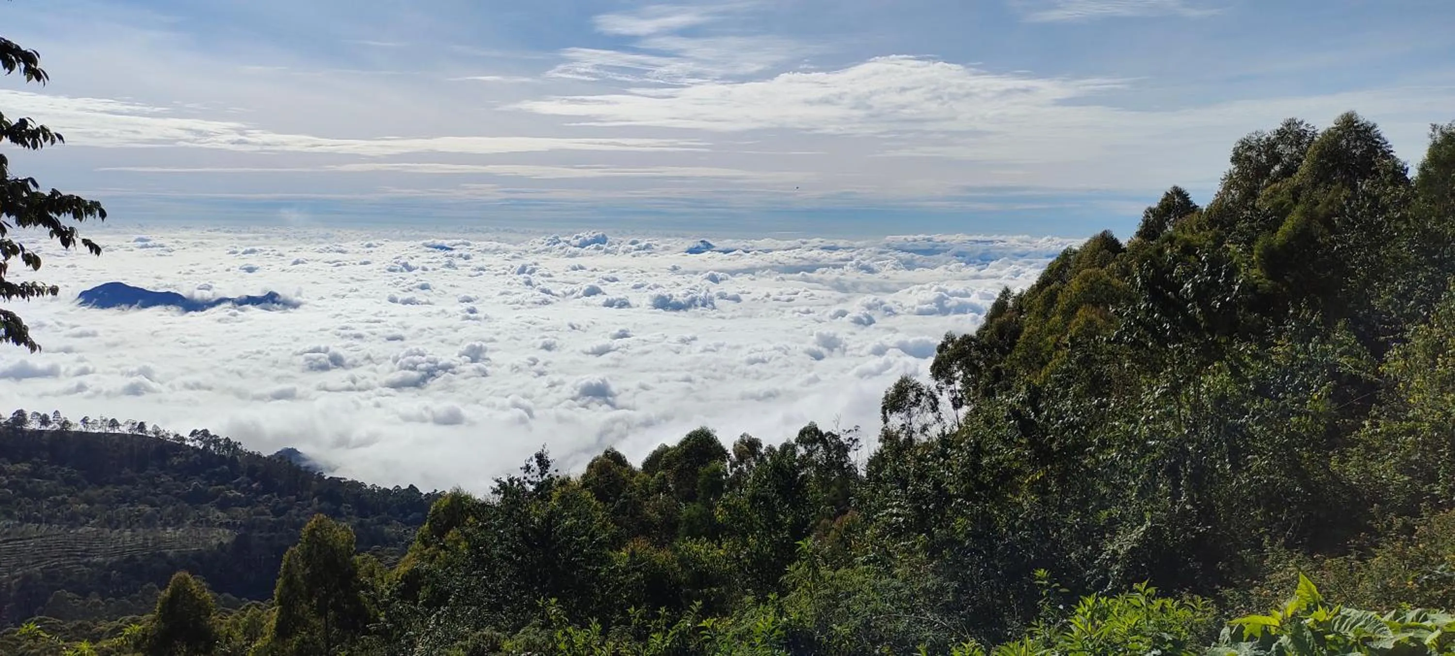 View (from property/room) in Villa Retreat - Boutique Hotel