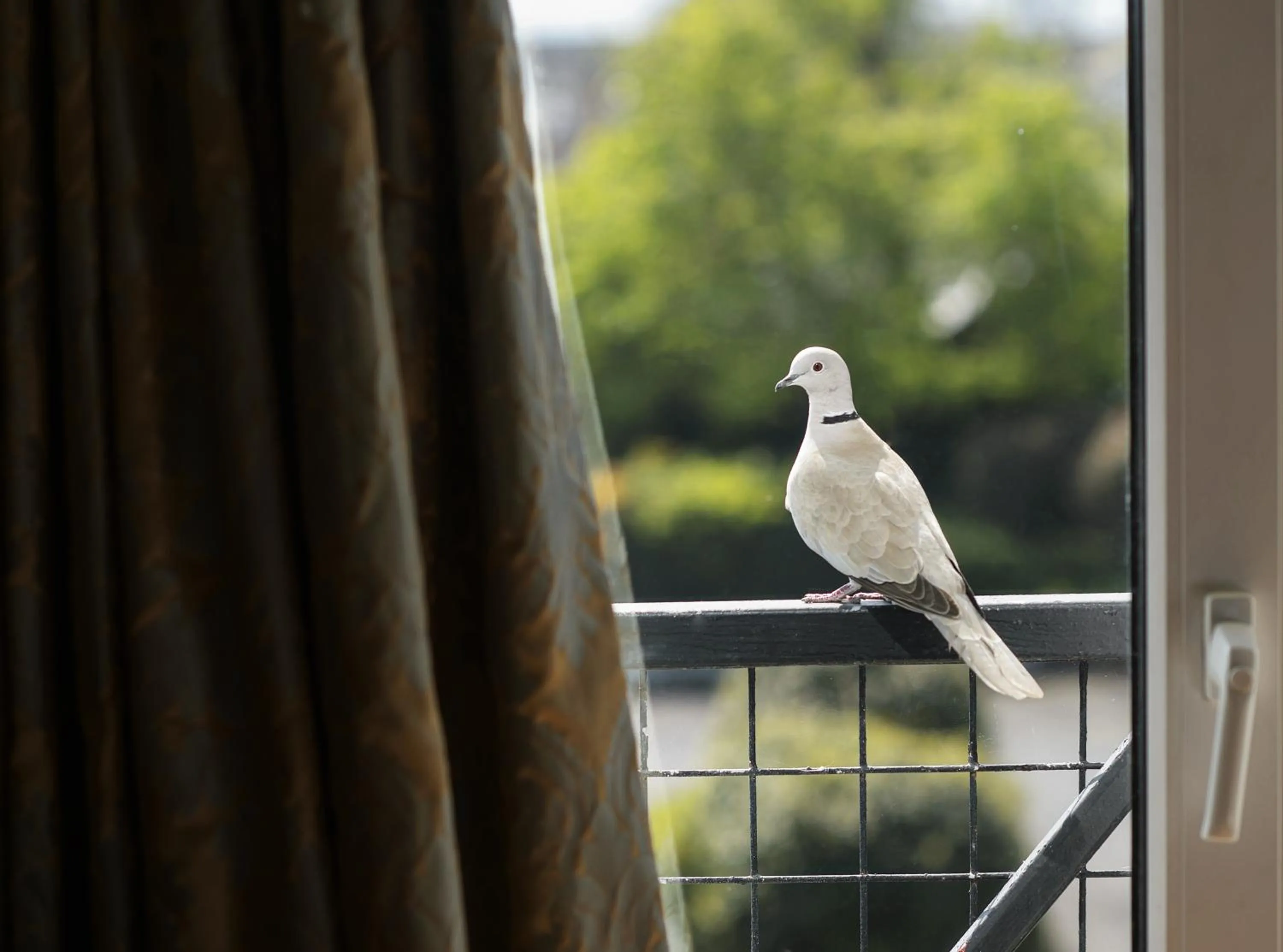 Decorative detail in Hylands Burren Hotel