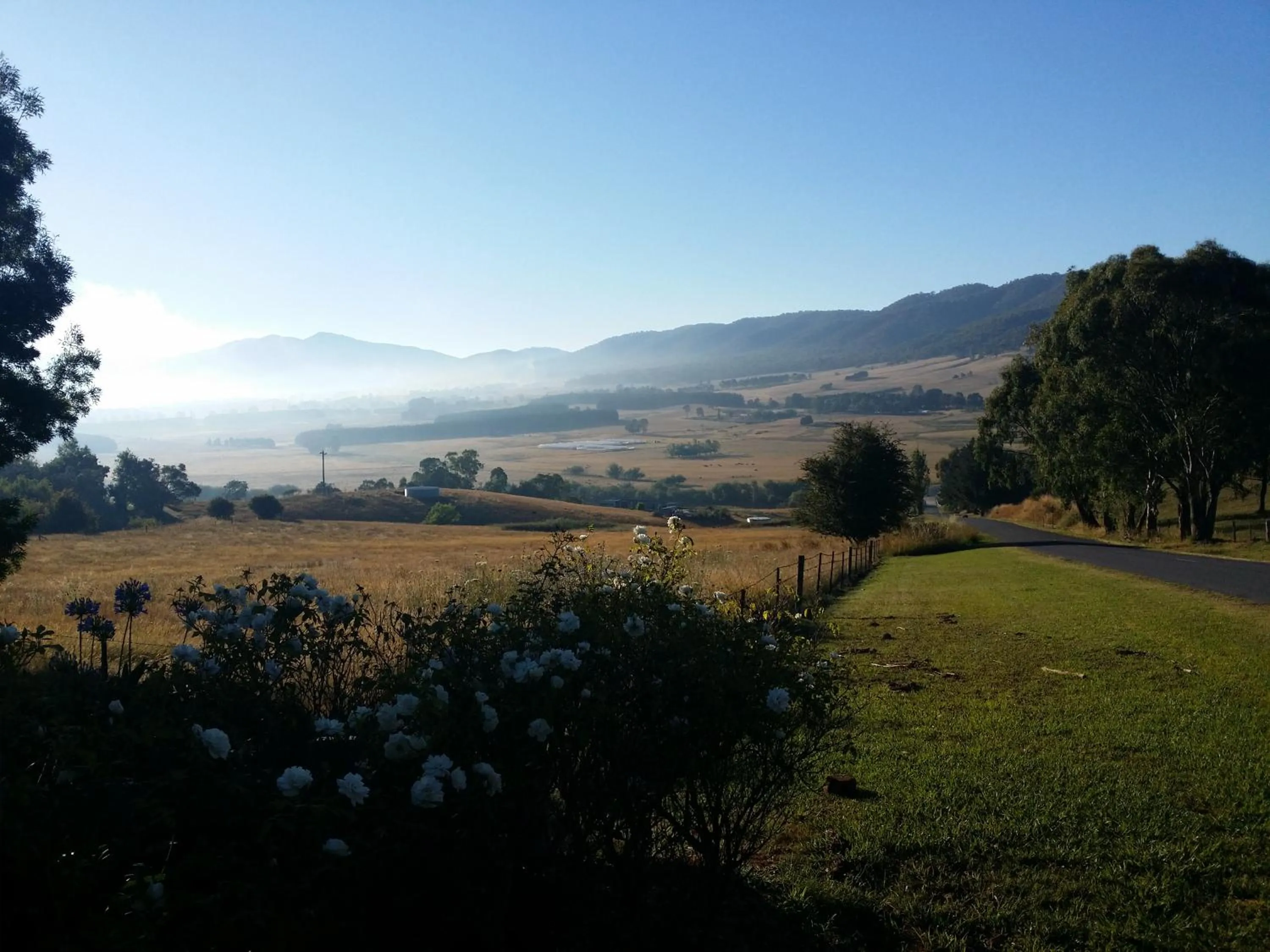 View (from property/room) in Rosewhite House