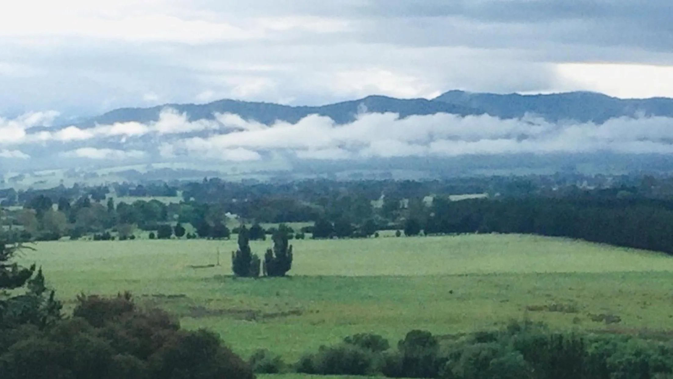 Natural landscape in Rosewhite House