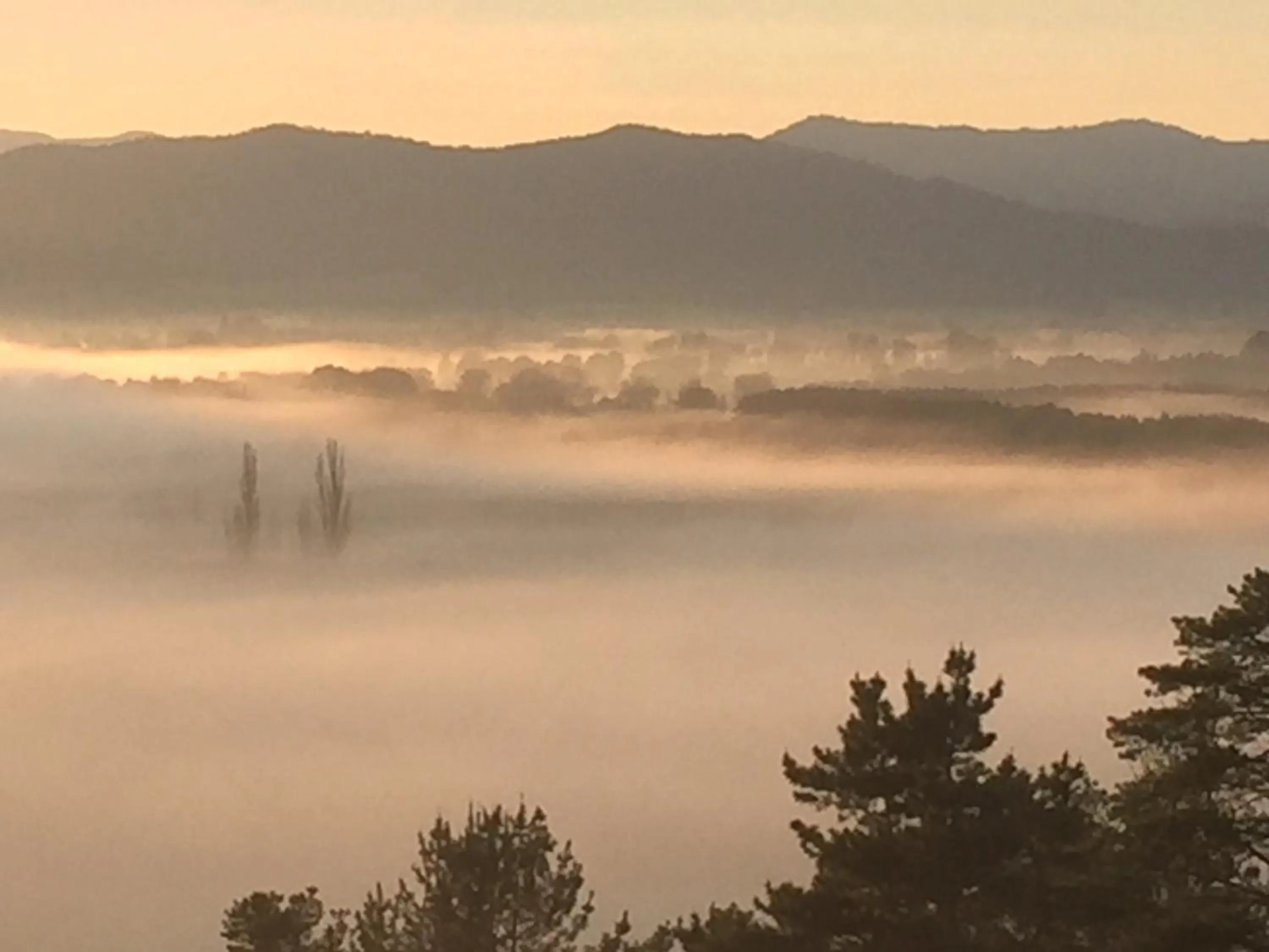 Spring in Rosewhite House