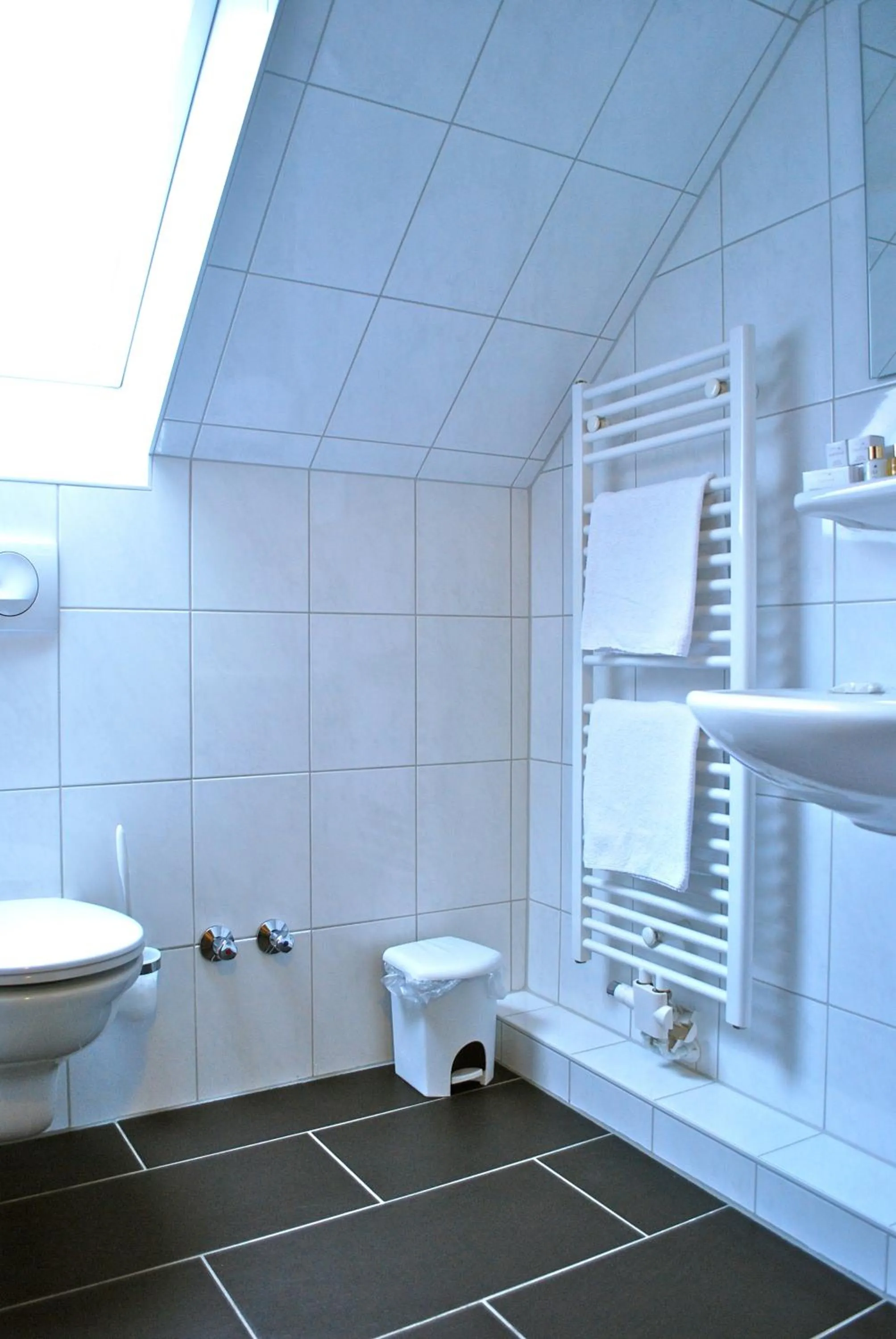 Bathroom in Hotel Dietrichsdorfer Hof