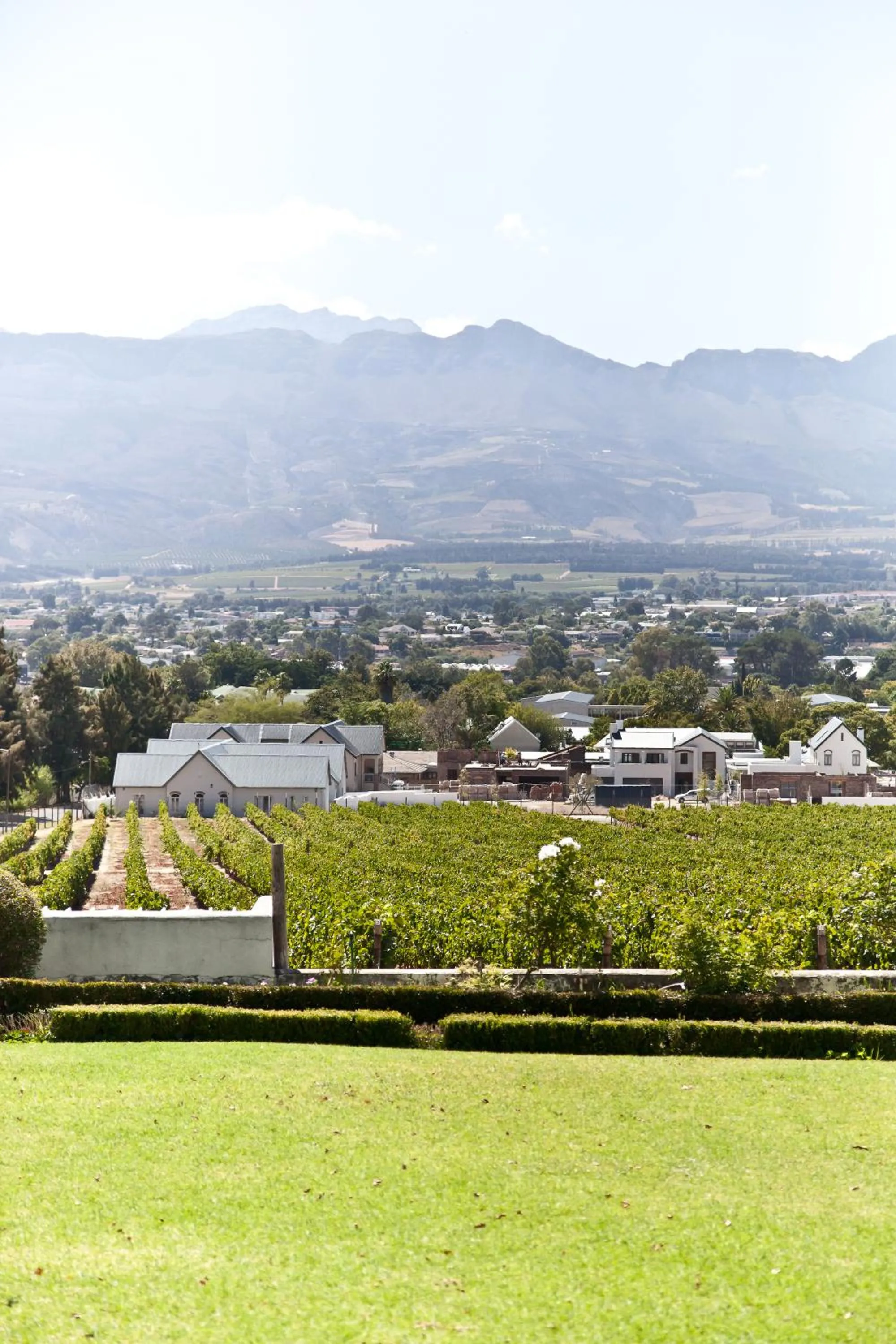 Mountain view in d'Olyfboom Guest House B & B