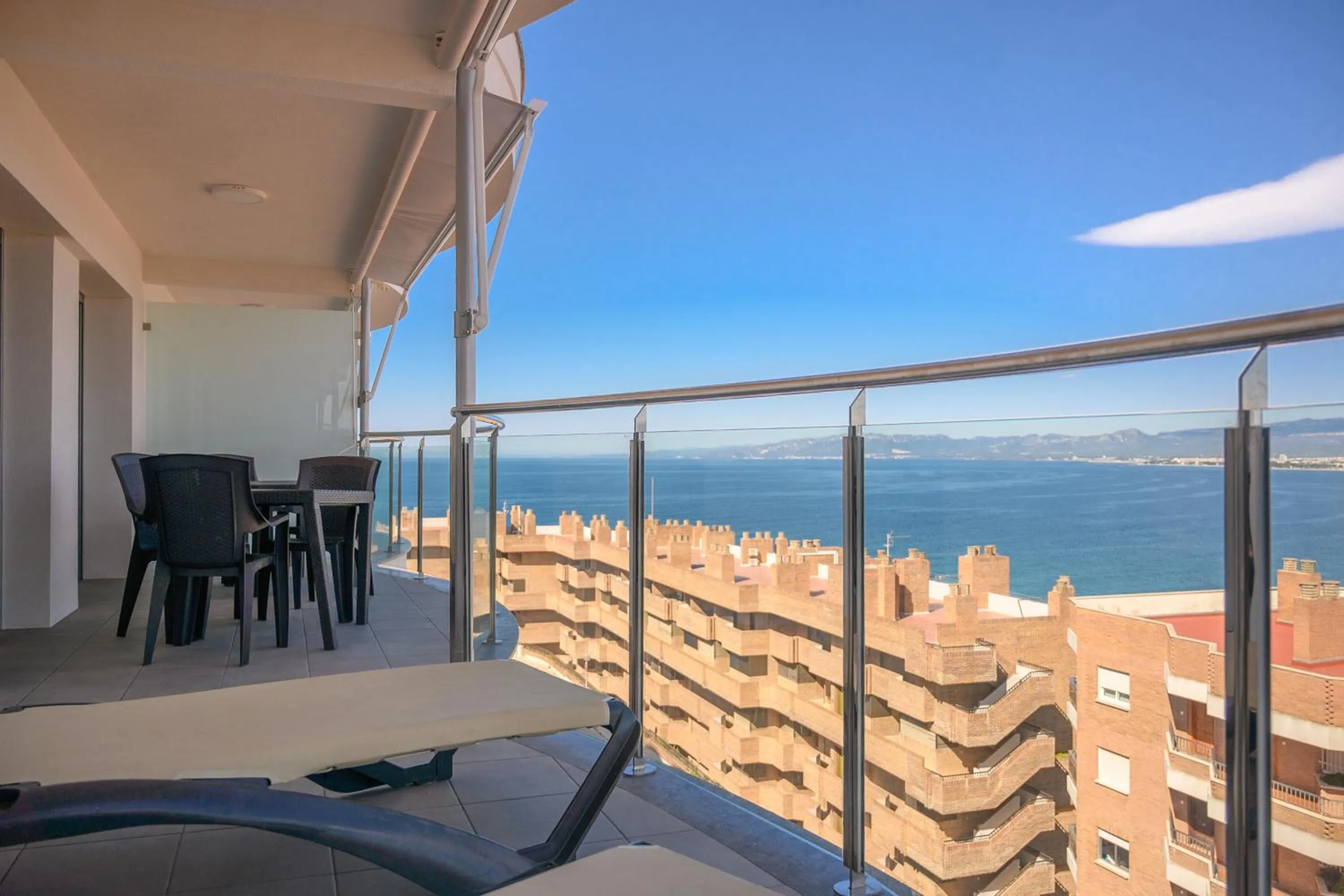 Day in Albatros Family